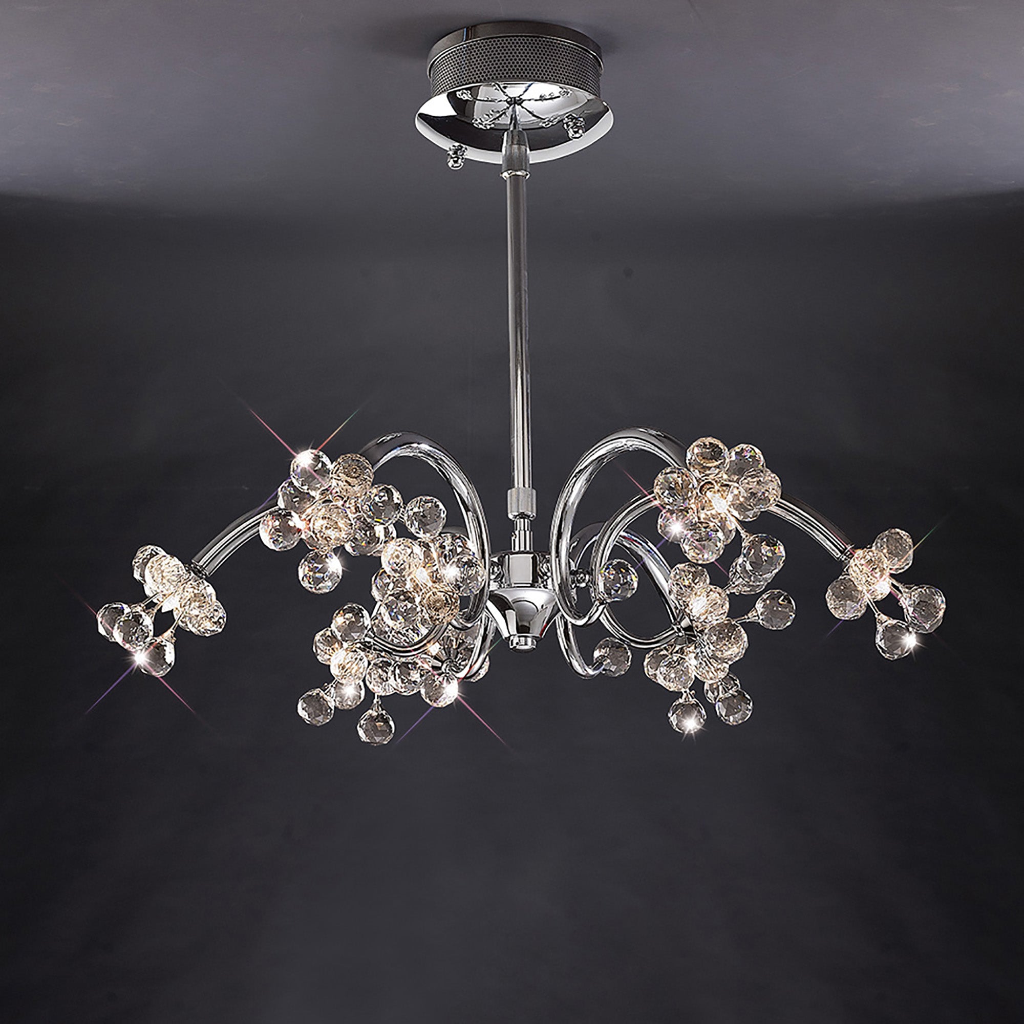octavia_IL30850
