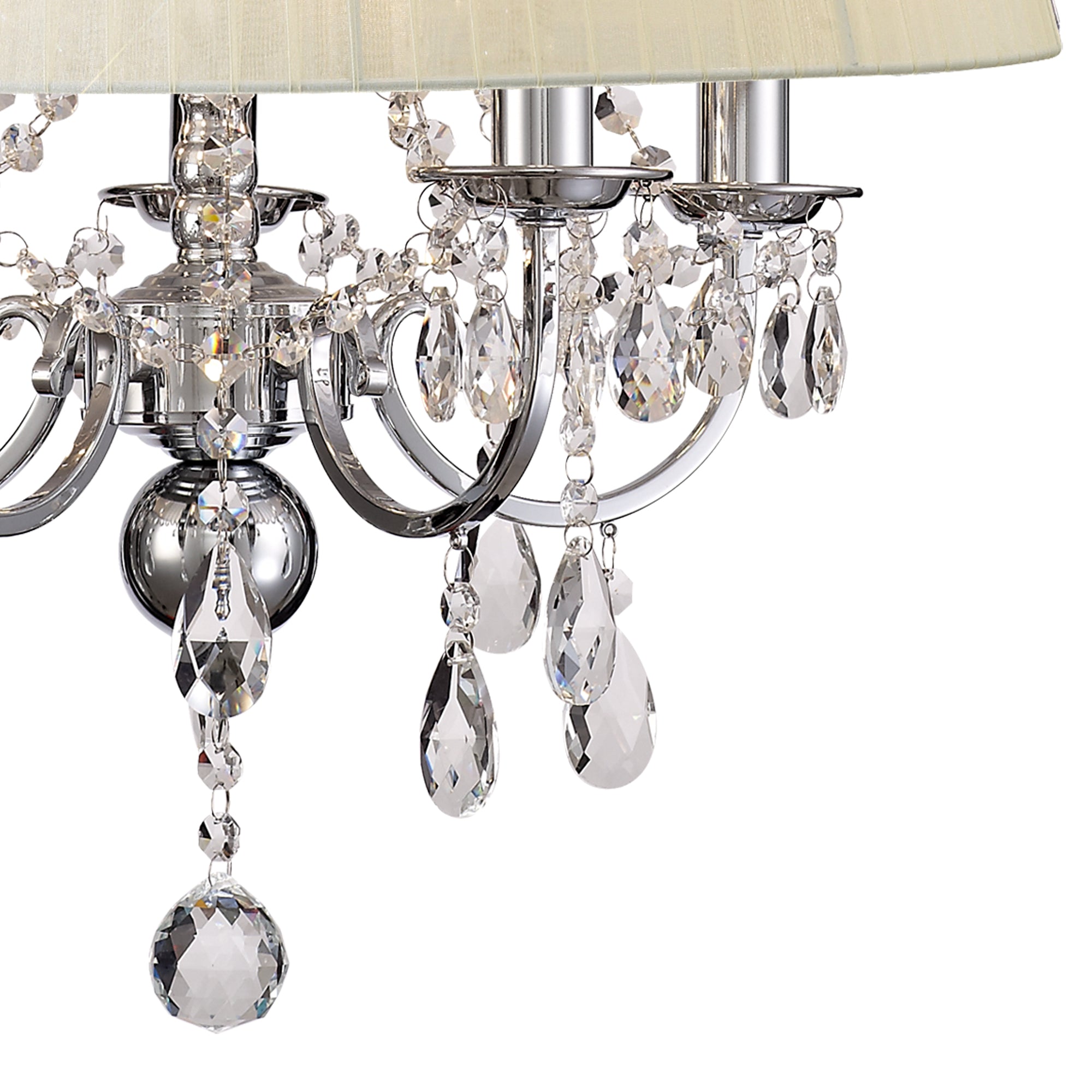 olivia_IL30045/CR