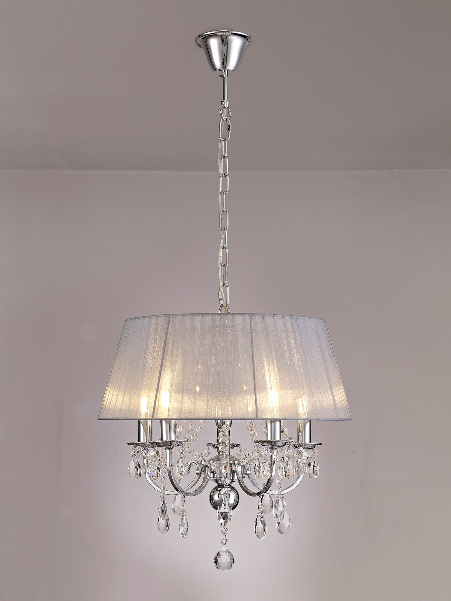 olivia_IL30045/GY