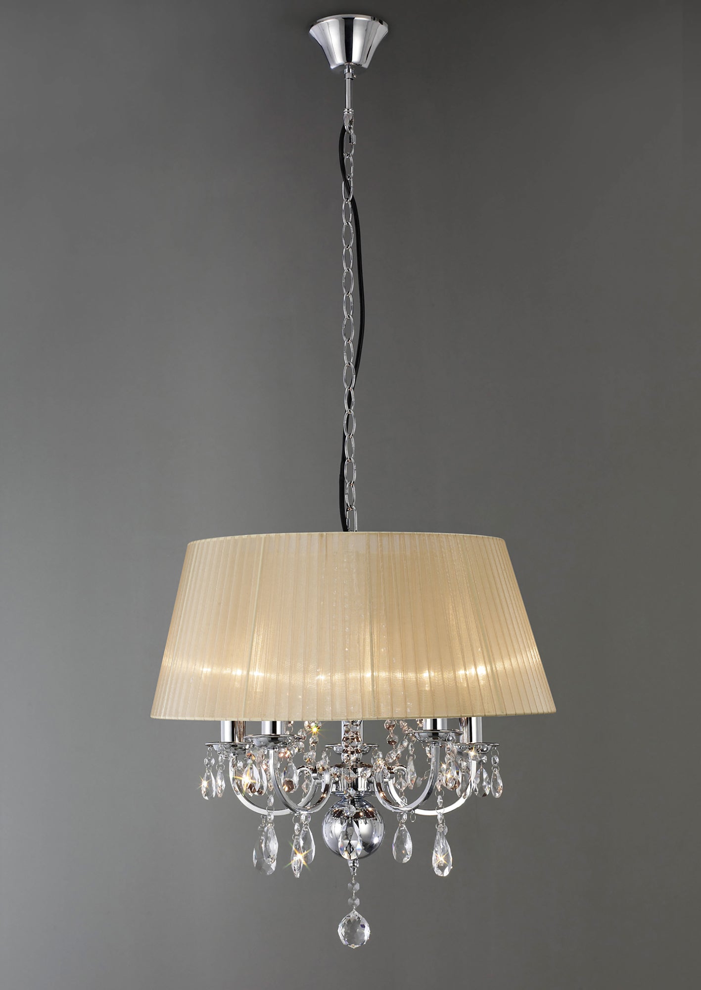 olivia_IL30045/SB
