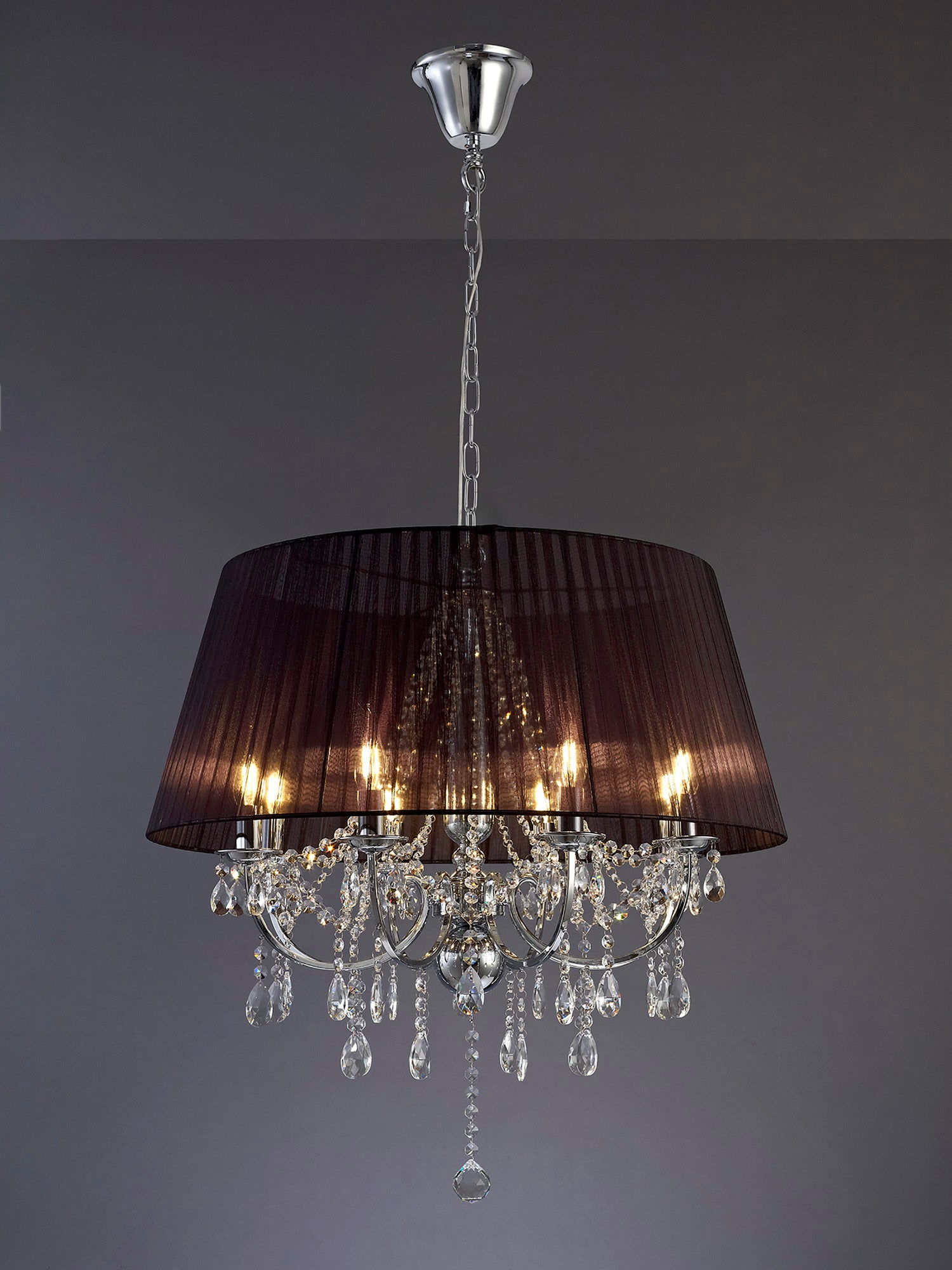 olivia_IL30056/BL