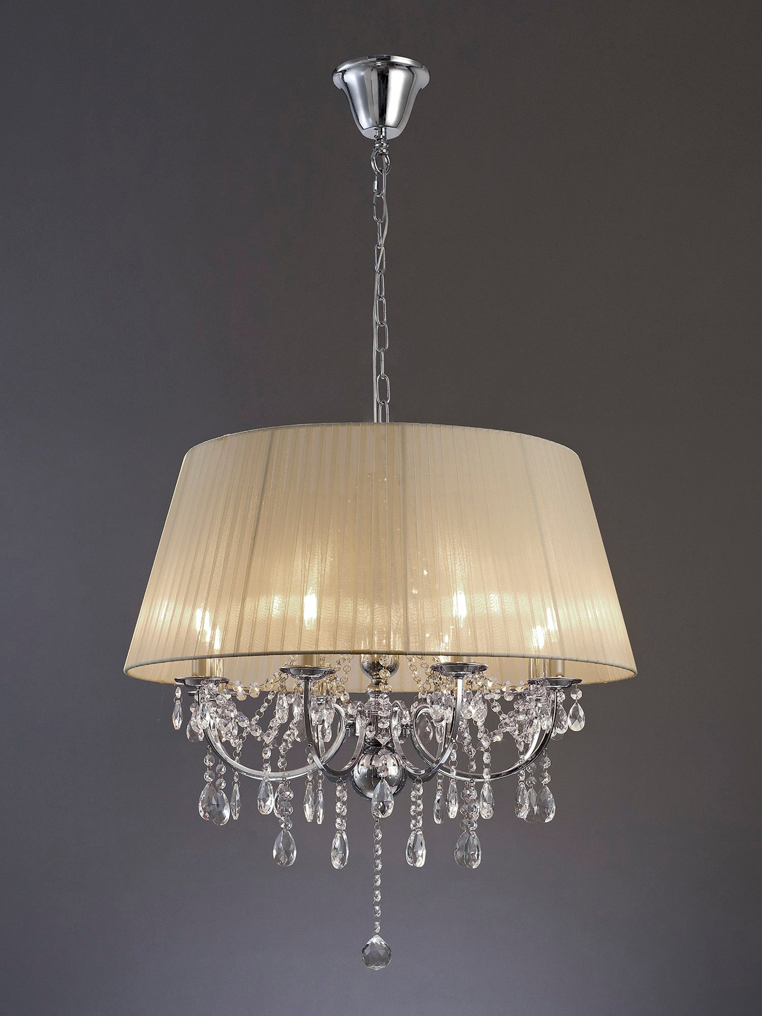 olivia_IL30056/SB
