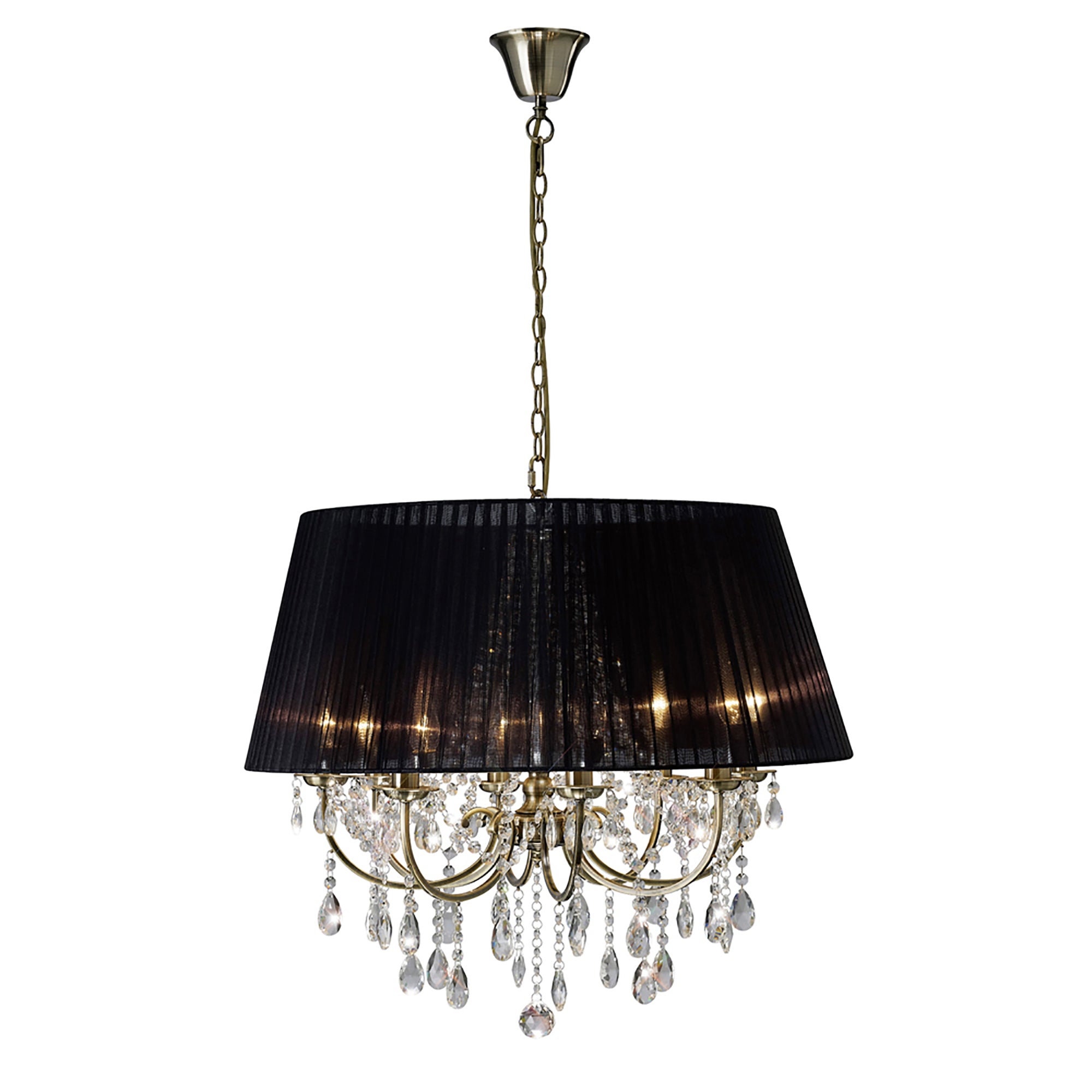 olivia_IL30057/BL