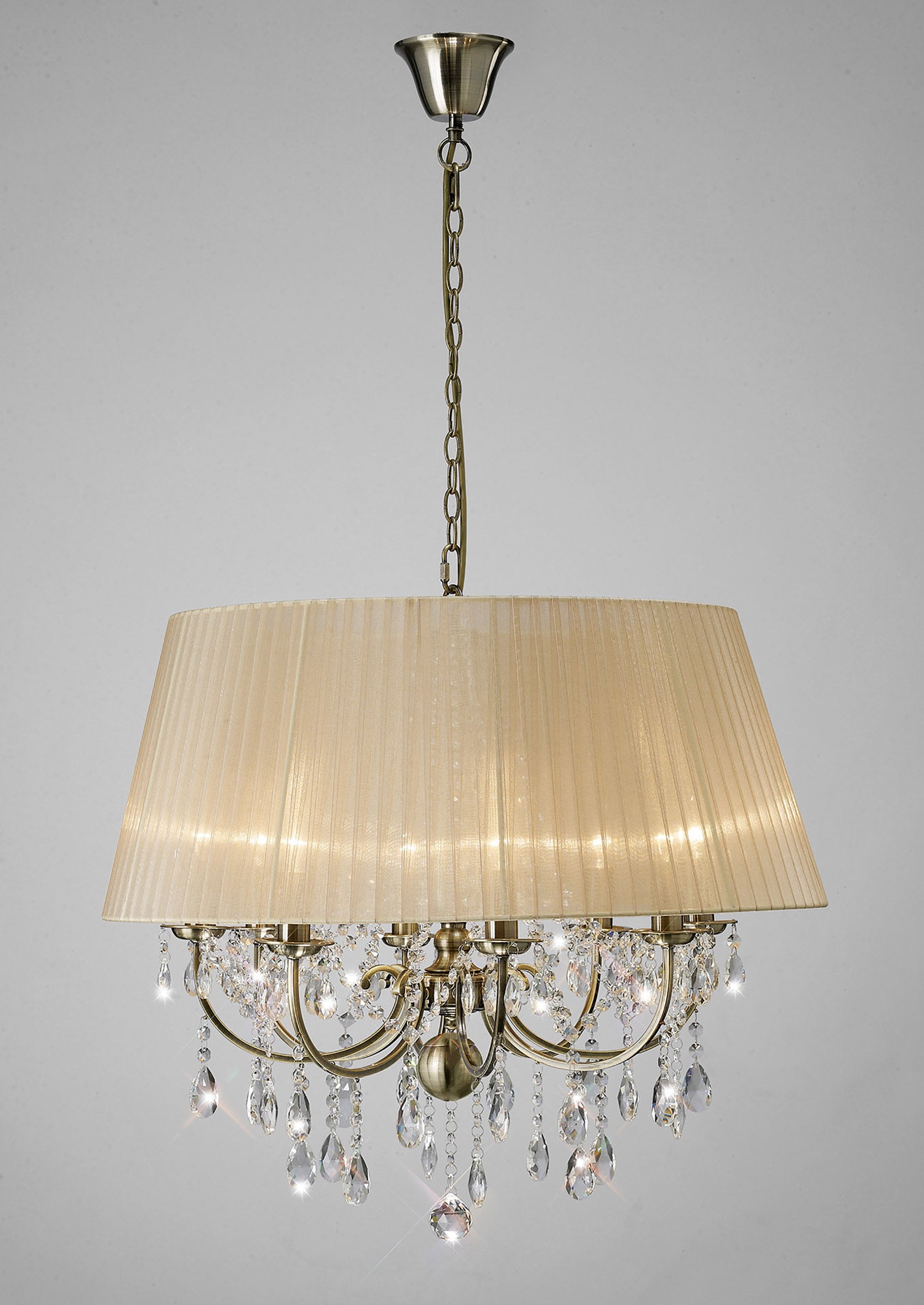 olivia_IL30057/SB