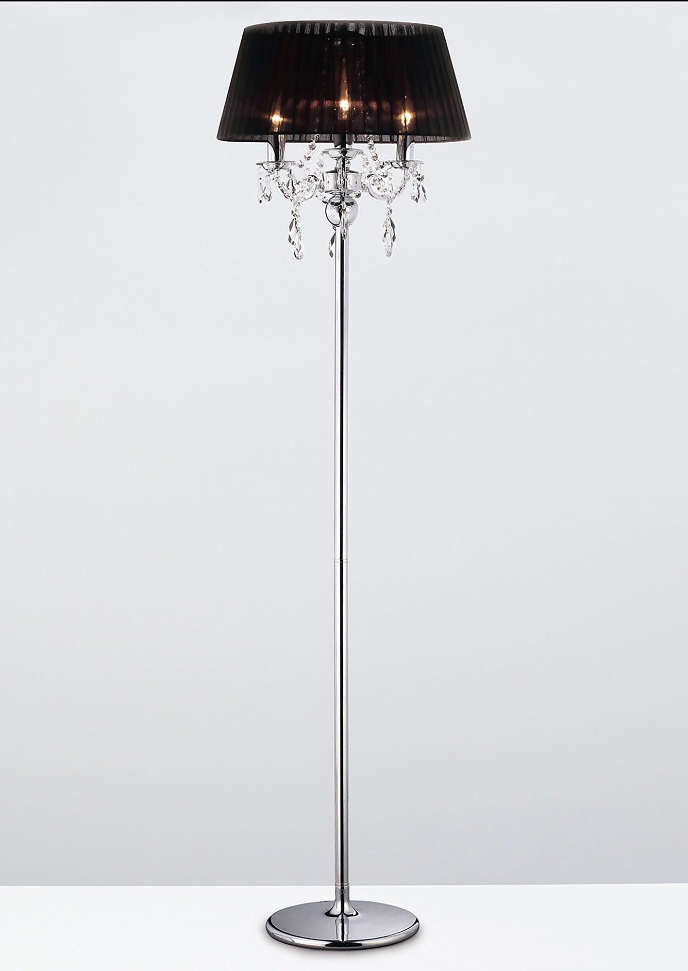 olivia_IL30063/BL