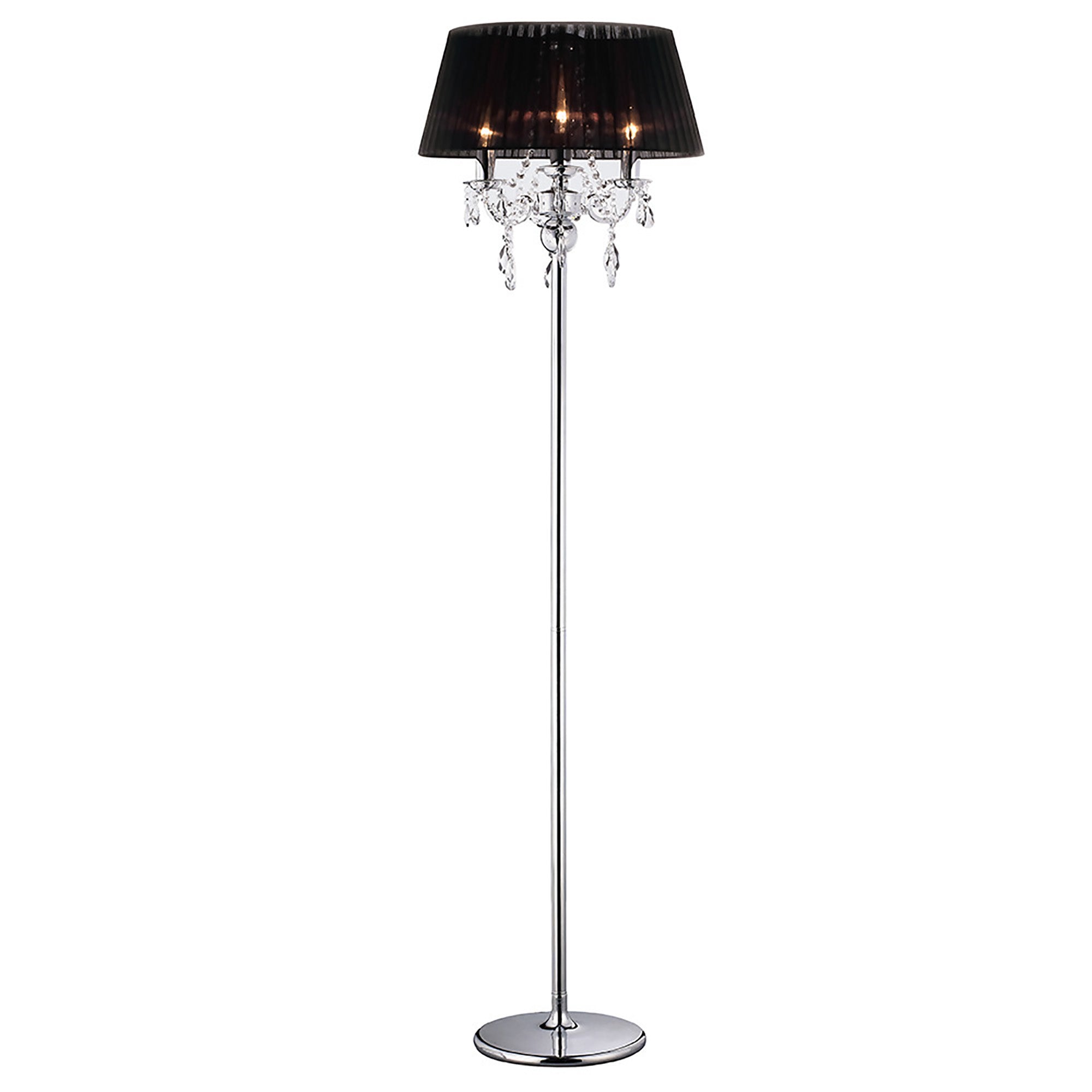 olivia_IL30063/BL