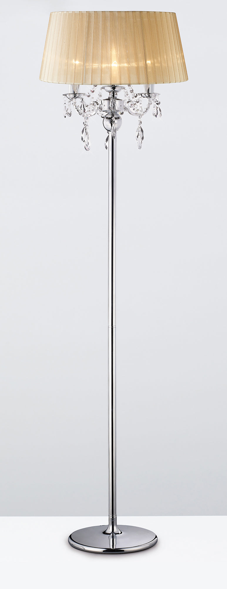 olivia_IL30063/SB