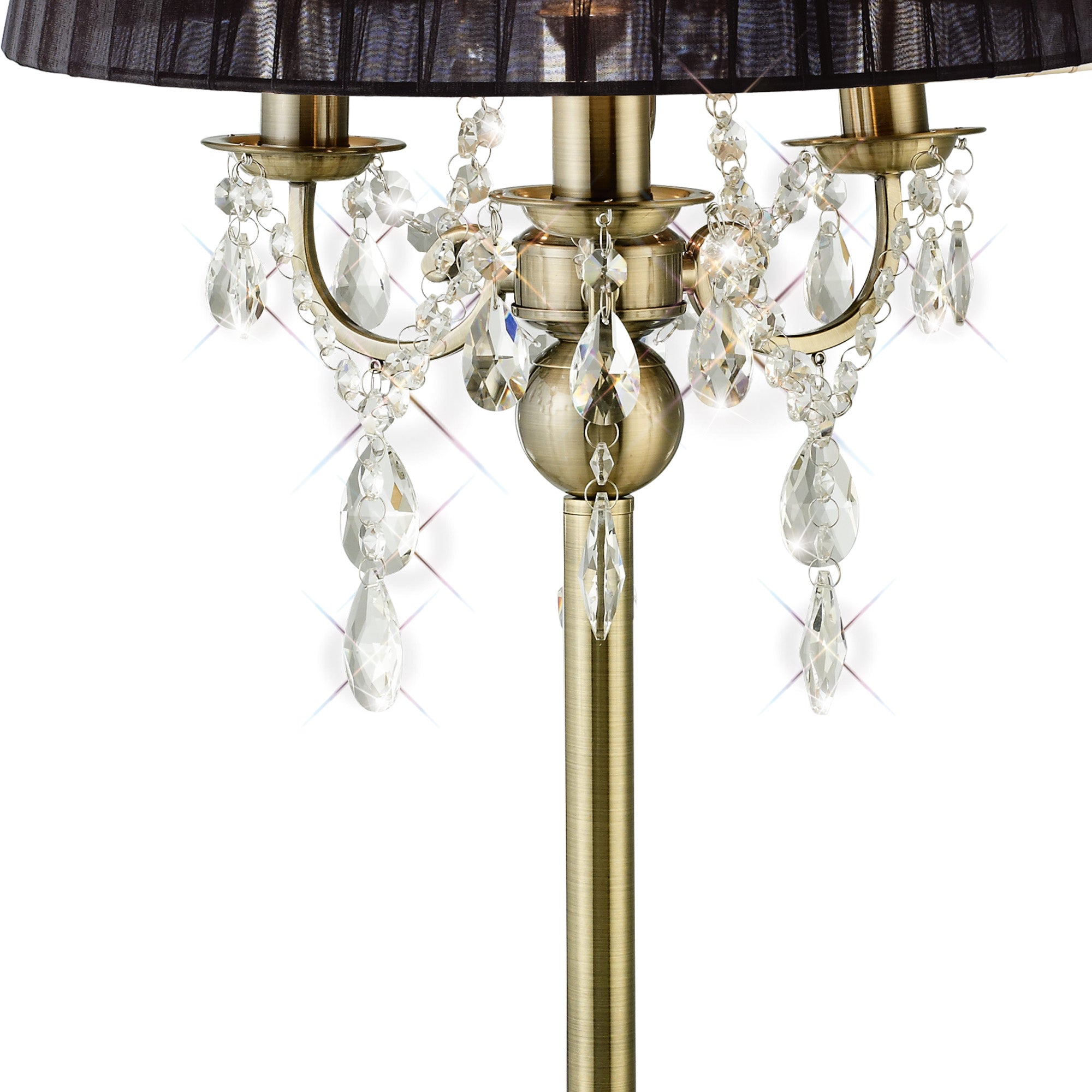 olivia_IL30065/BL