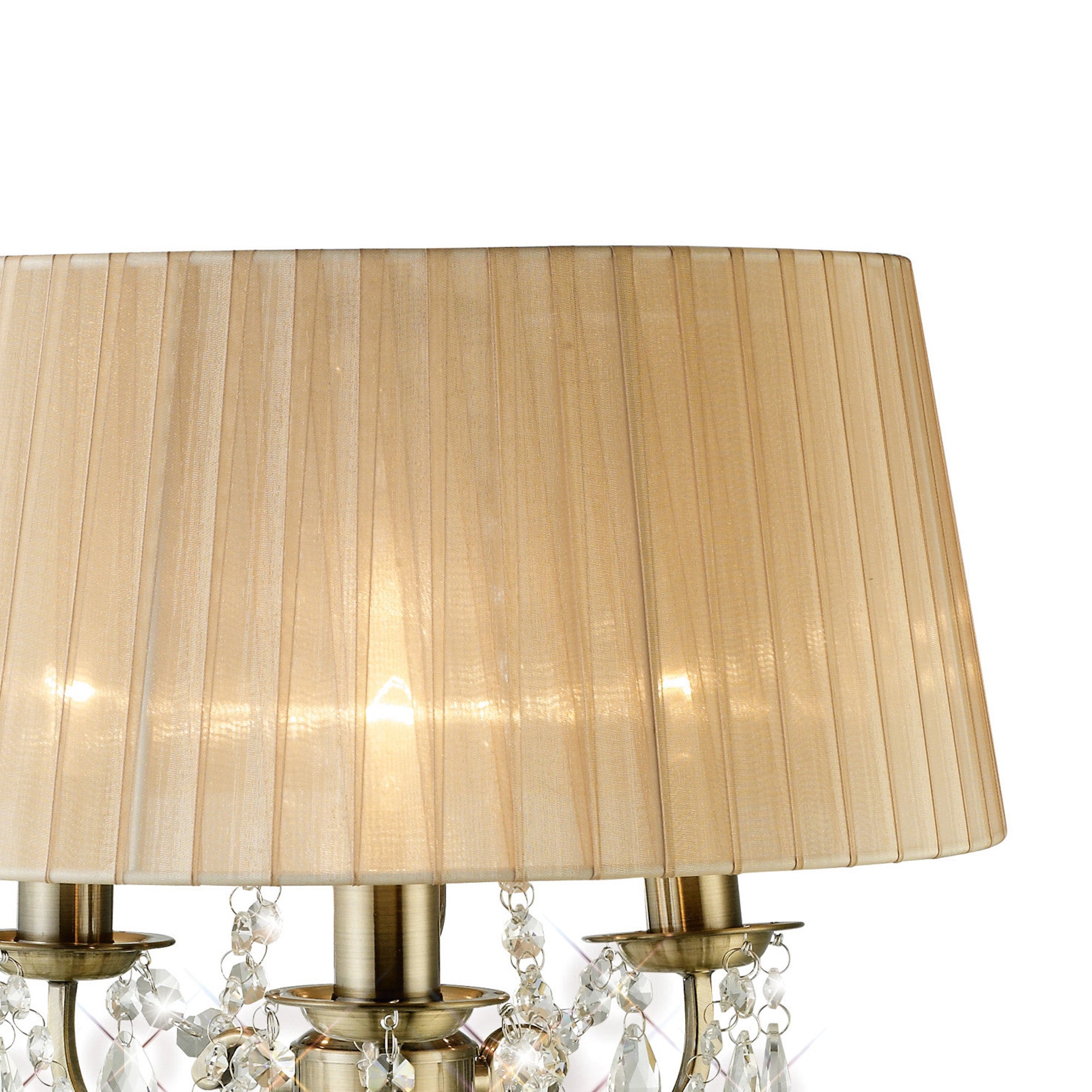 olivia_IL30065/SB
