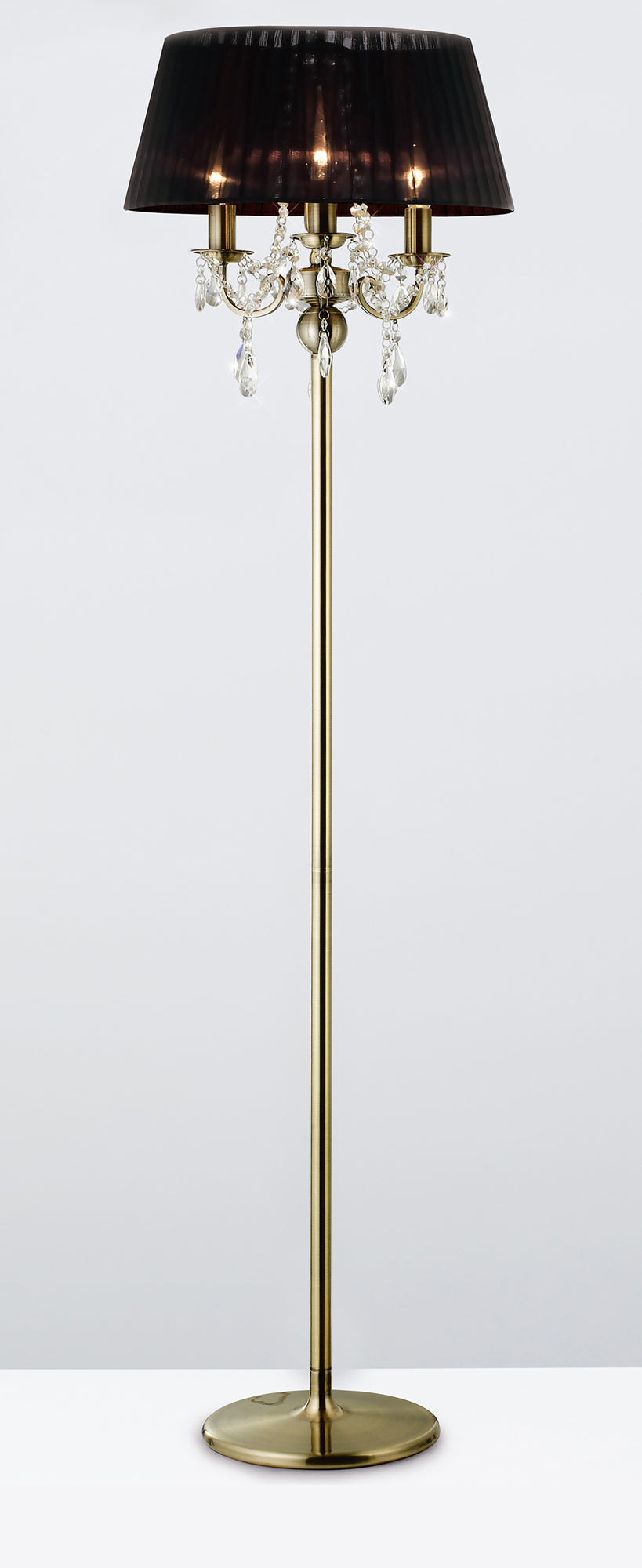 olivia_IL30066/BL