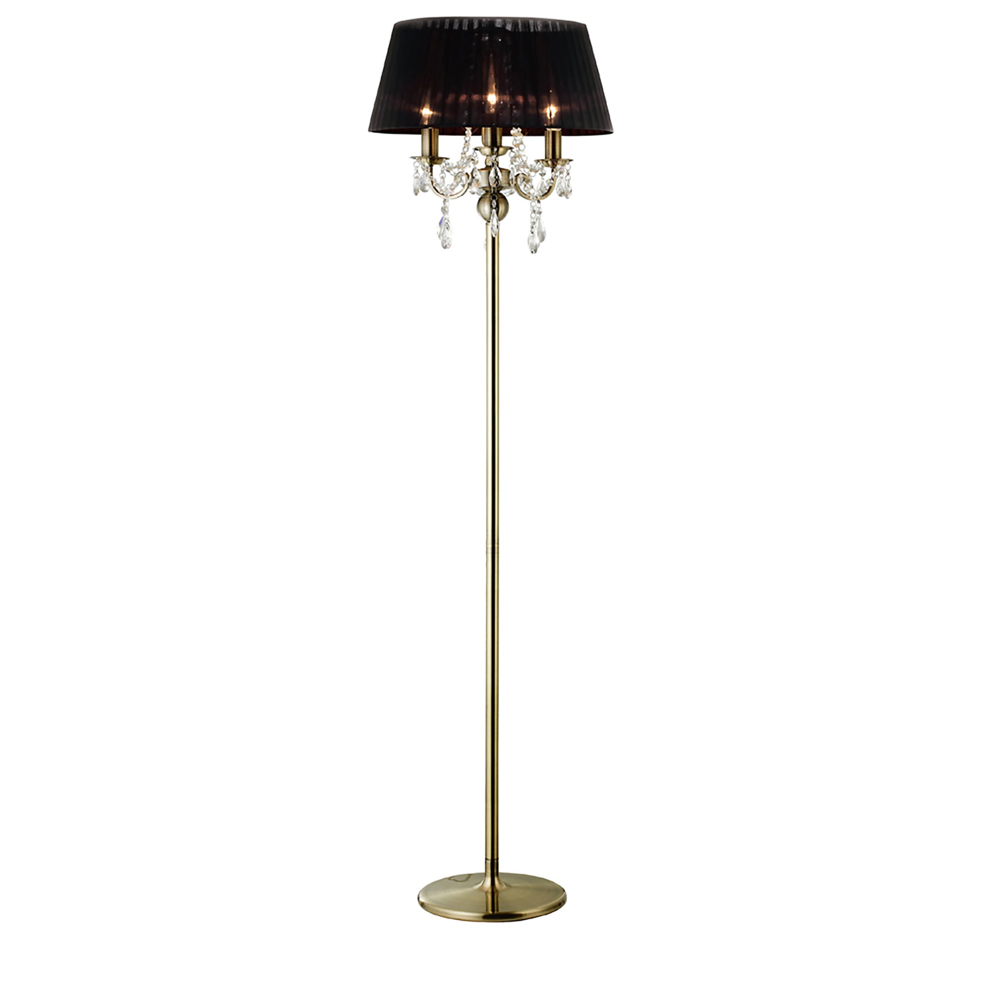 olivia_IL30066/BL