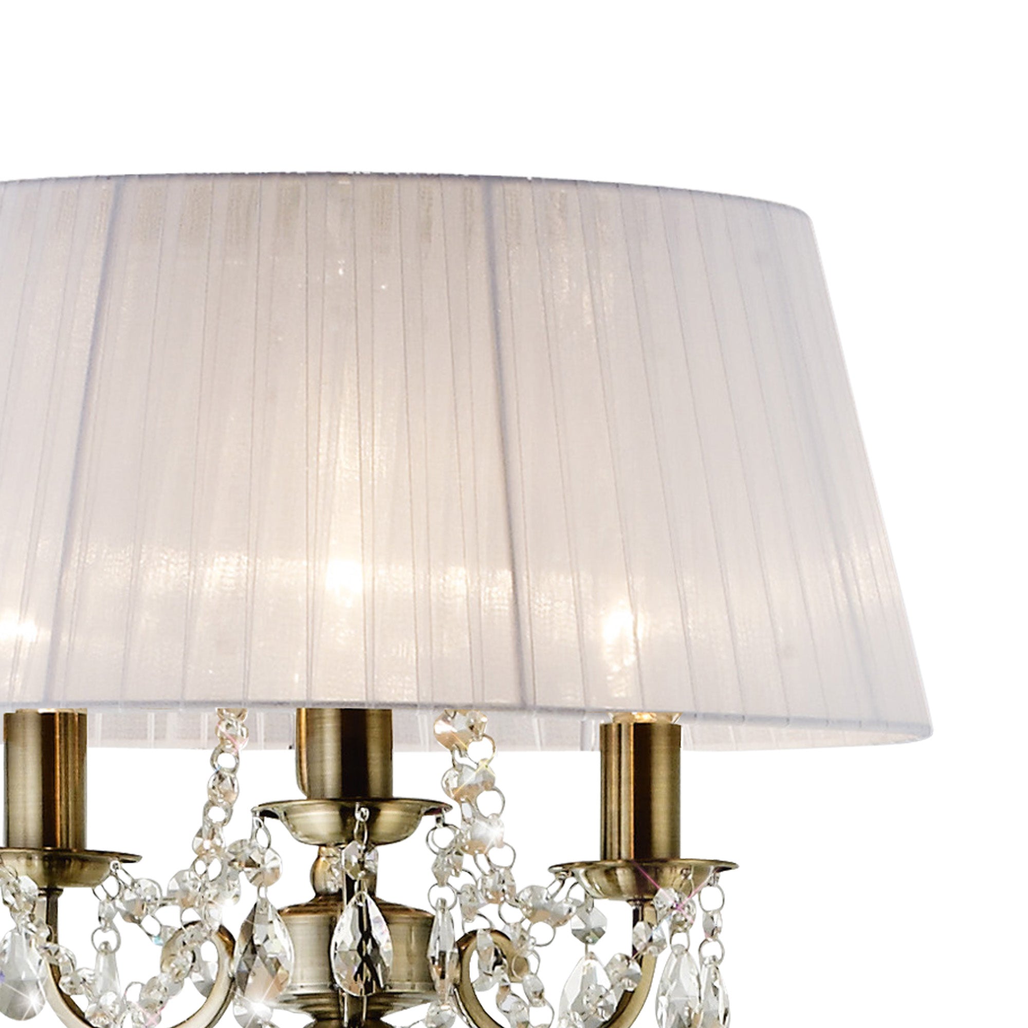 olivia_IL30066/WH