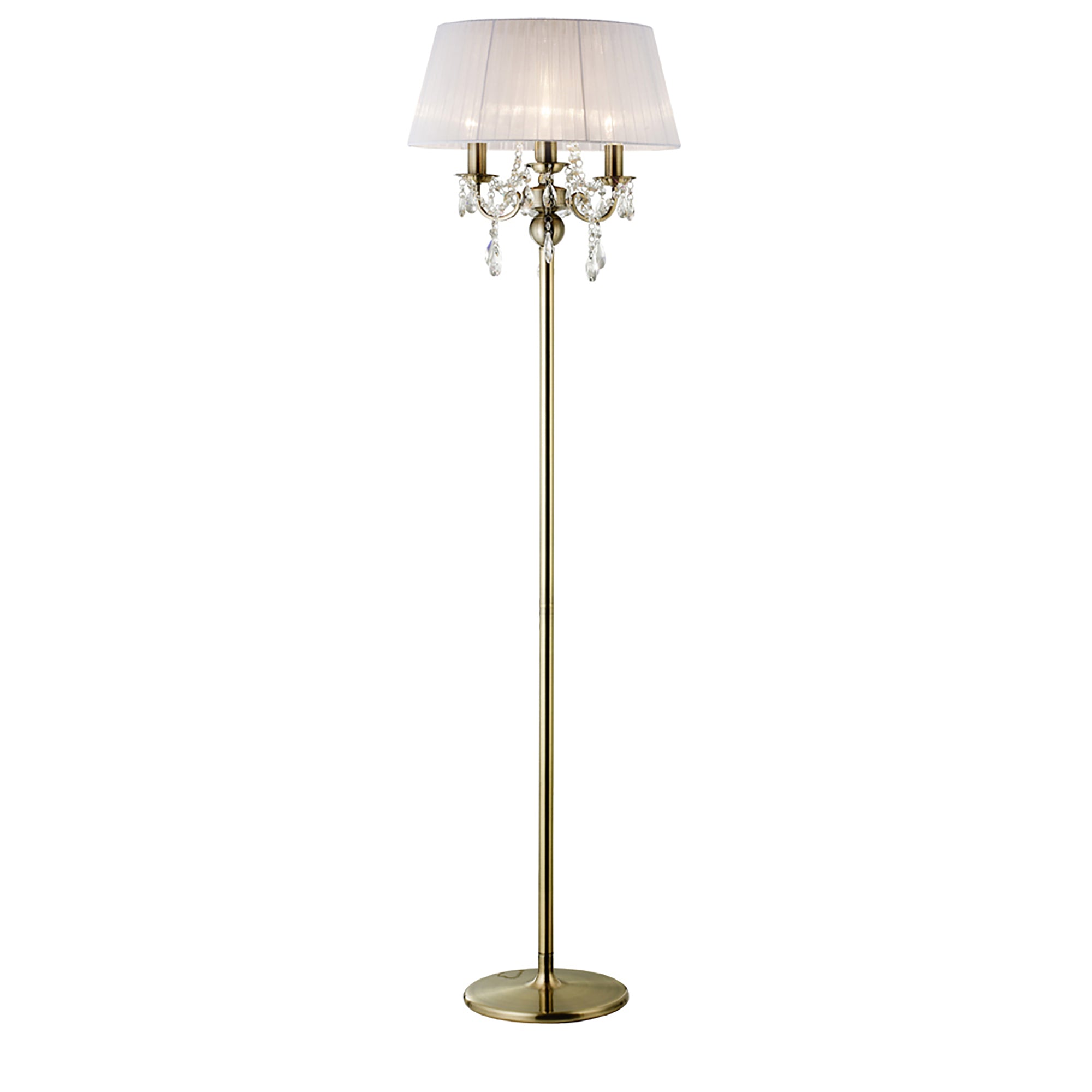 olivia_IL30066/WH