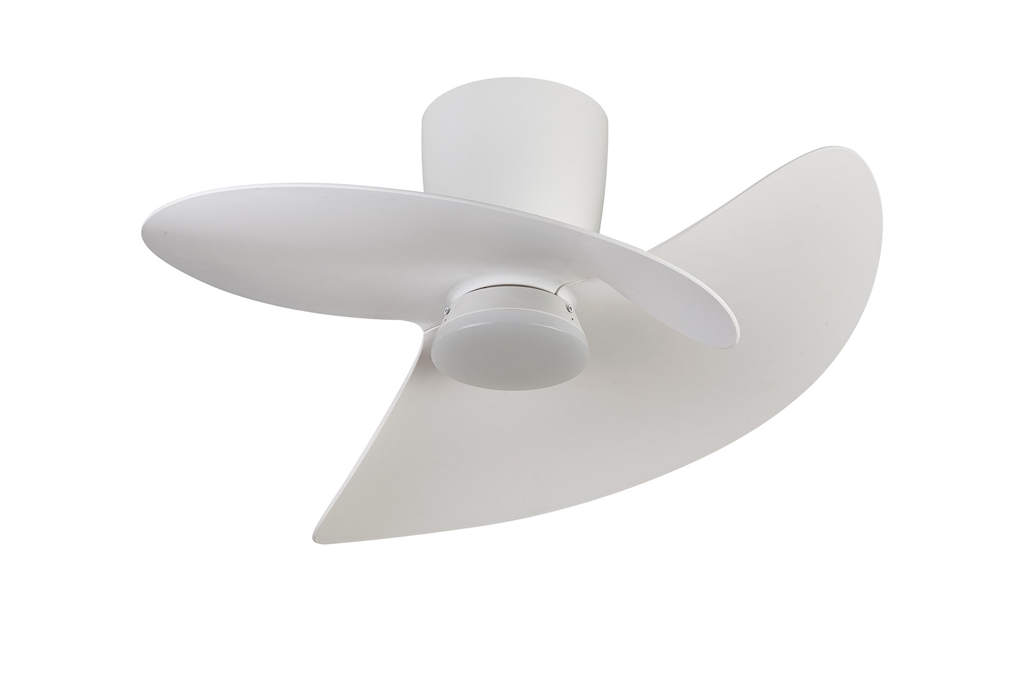 Ona_M9469