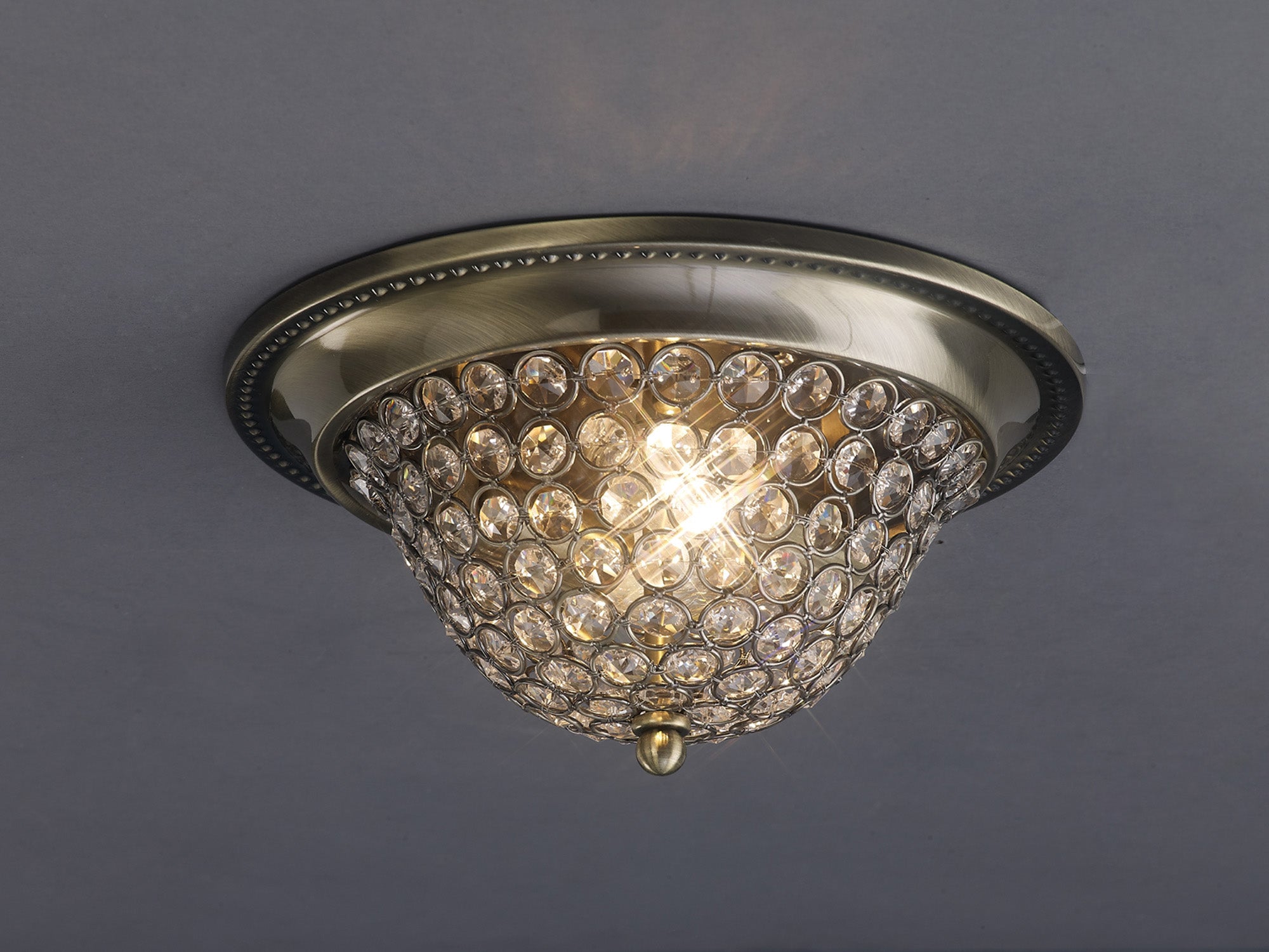 paloma_IL31130