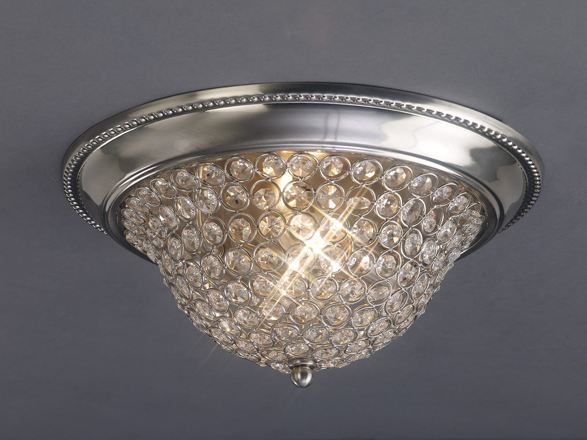 paloma_IL31134