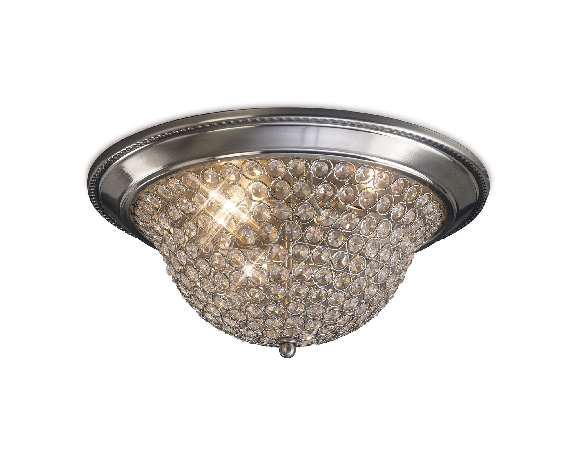 paloma_IL31135