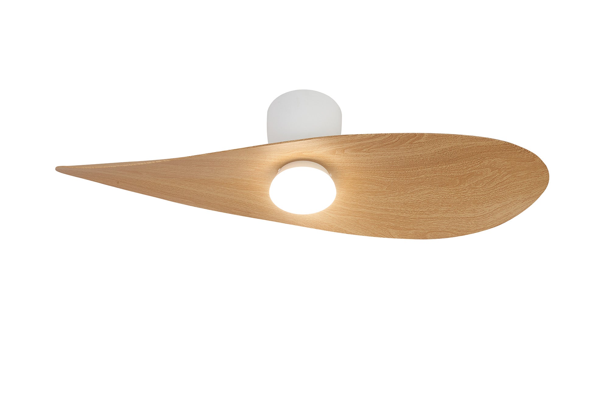 Surfer_M9475