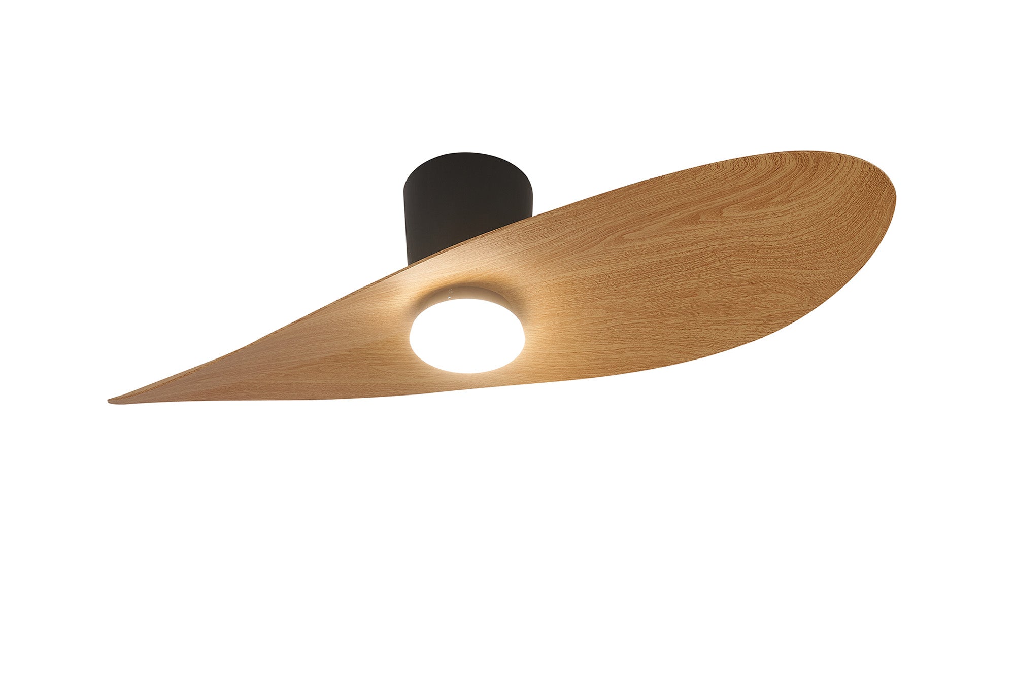 Surfer_M9476