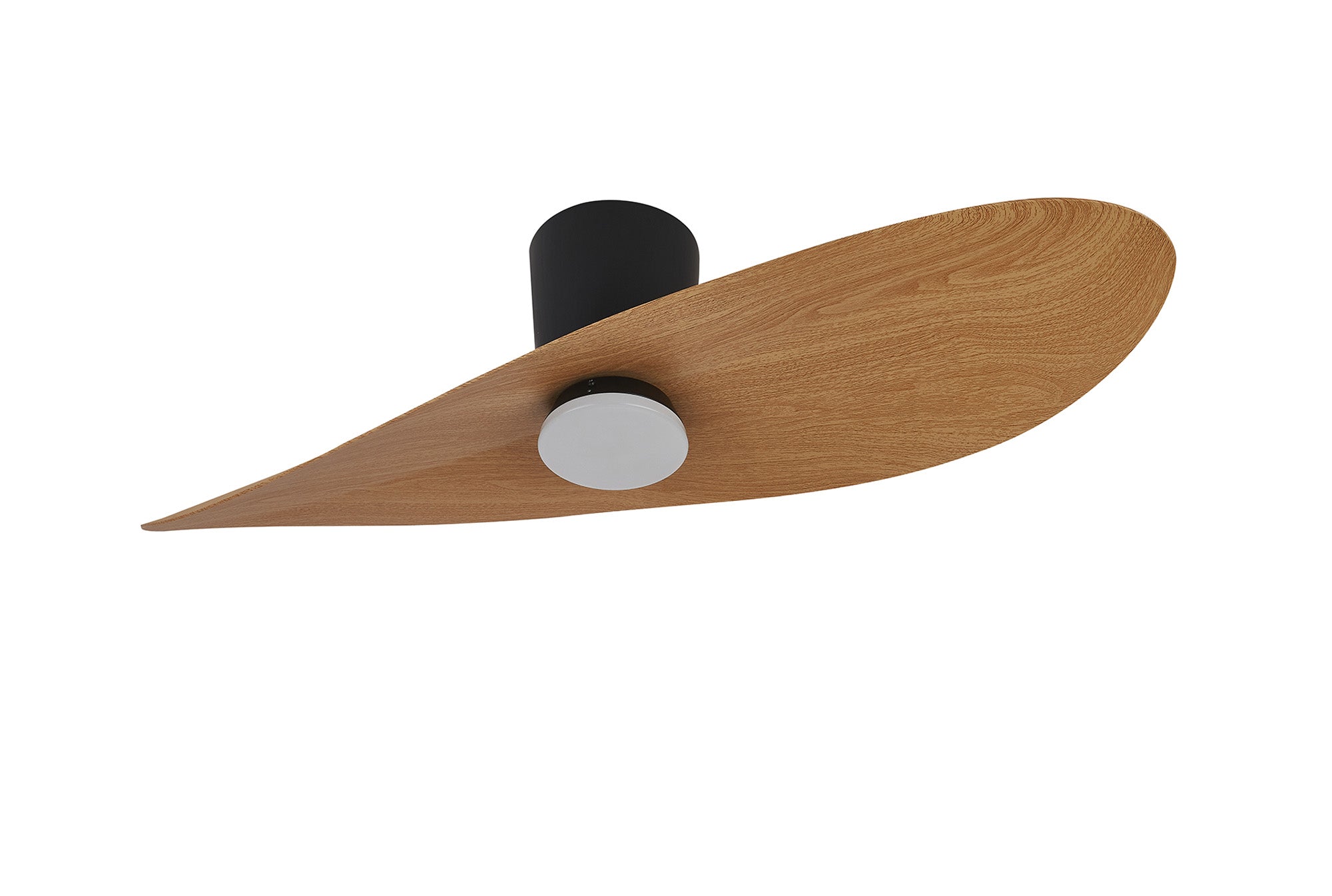 Surfer_M9476