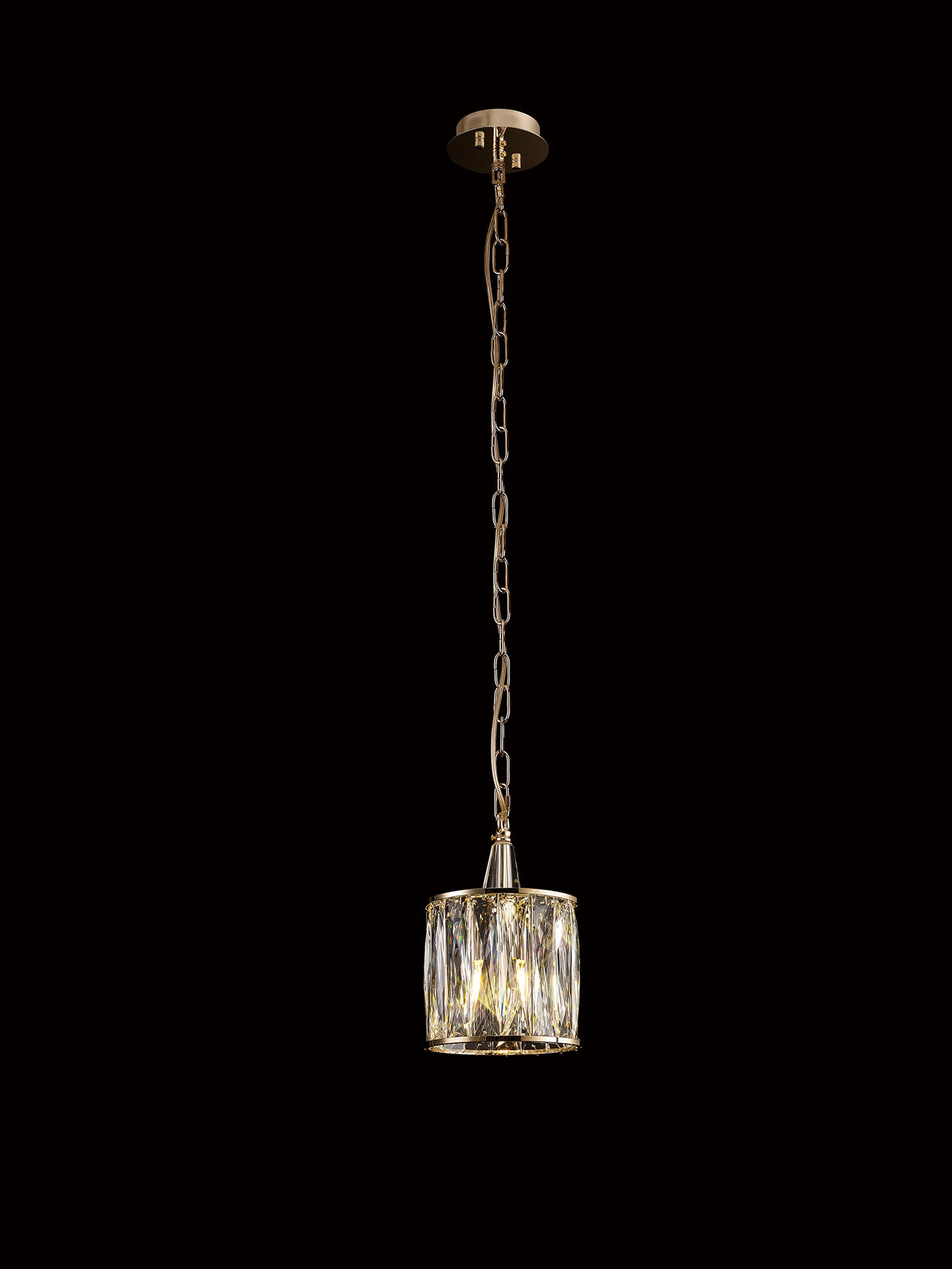 vivienne_IL31823