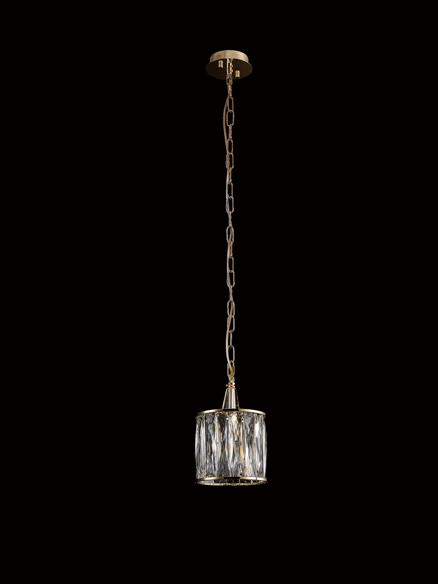 vivienne_IL31823