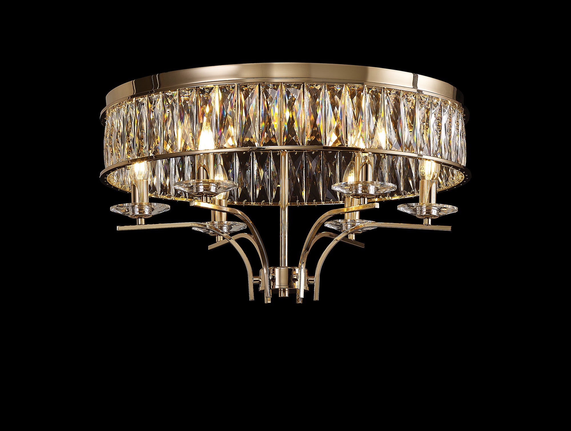 vivienne_IL31833