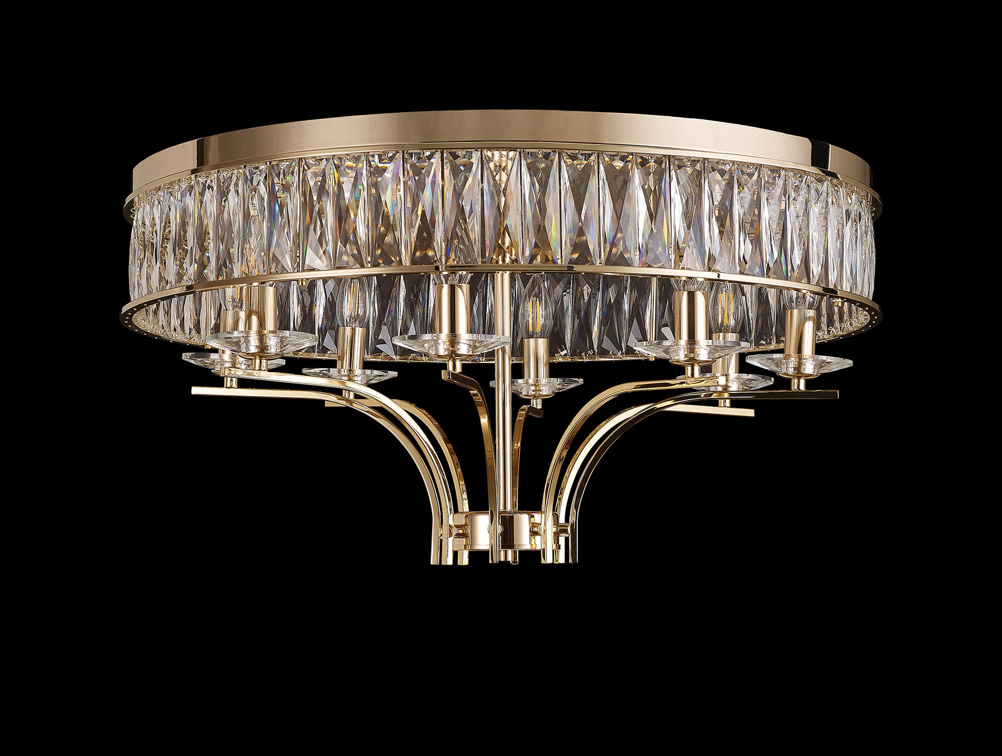 vivienne_IL31834
