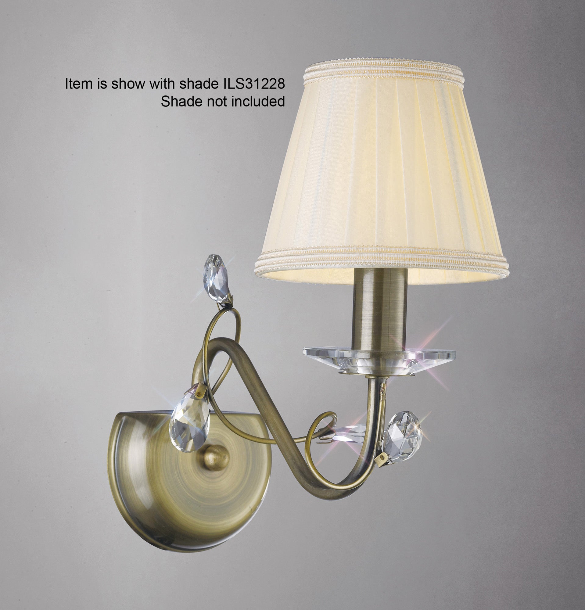 willow_IL31221