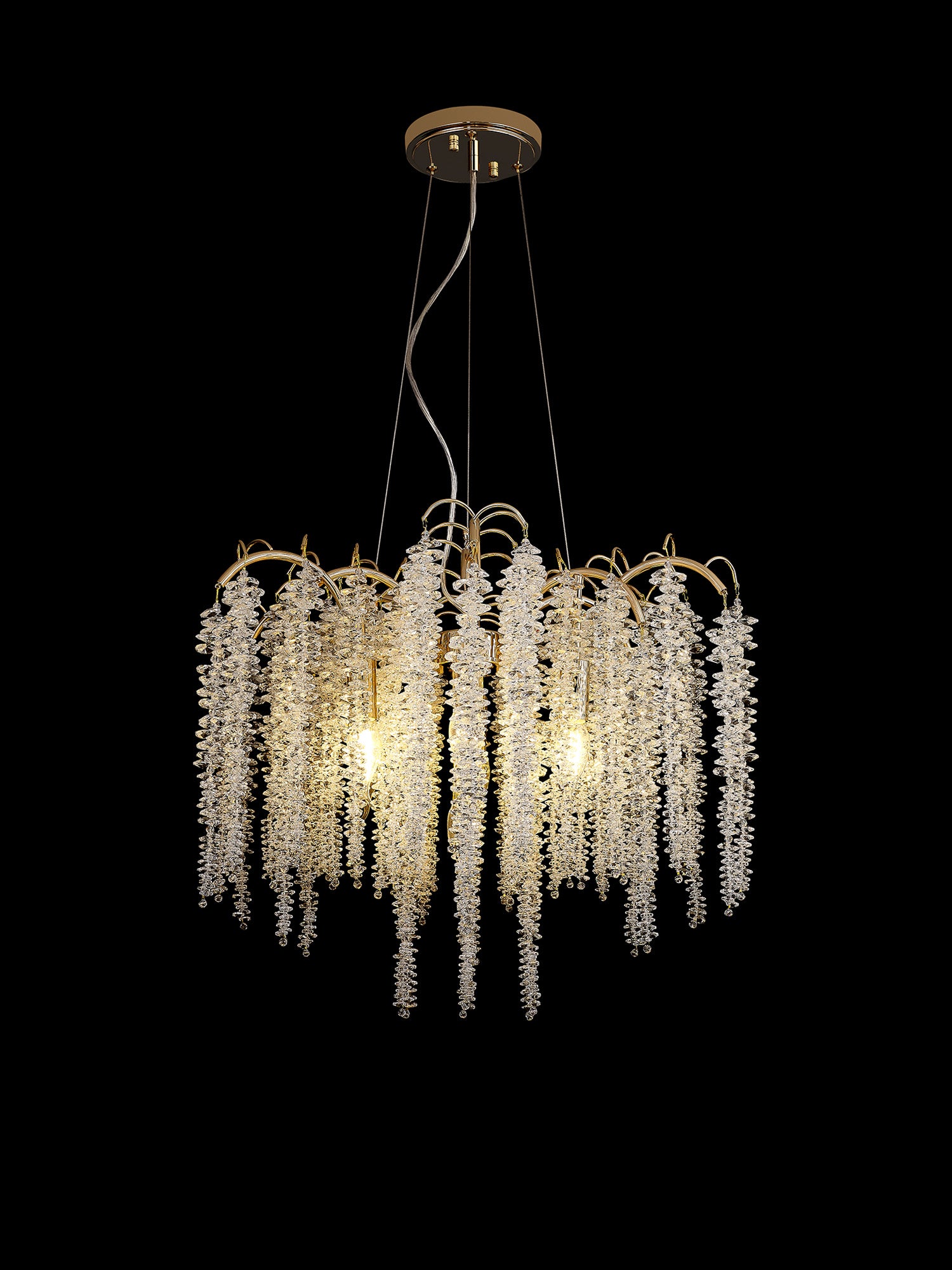 wisteria_IL32856
