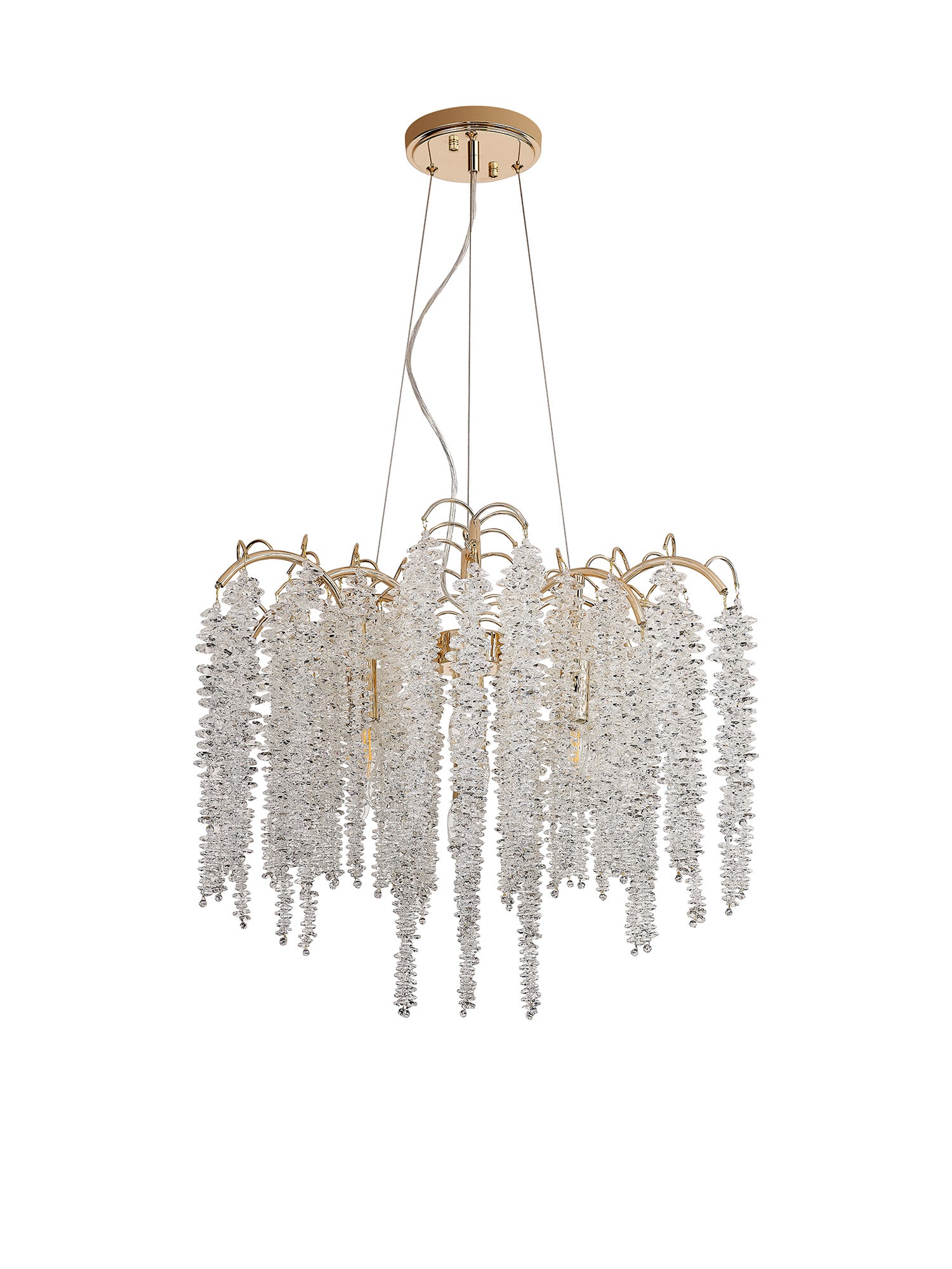 wisteria_IL32856