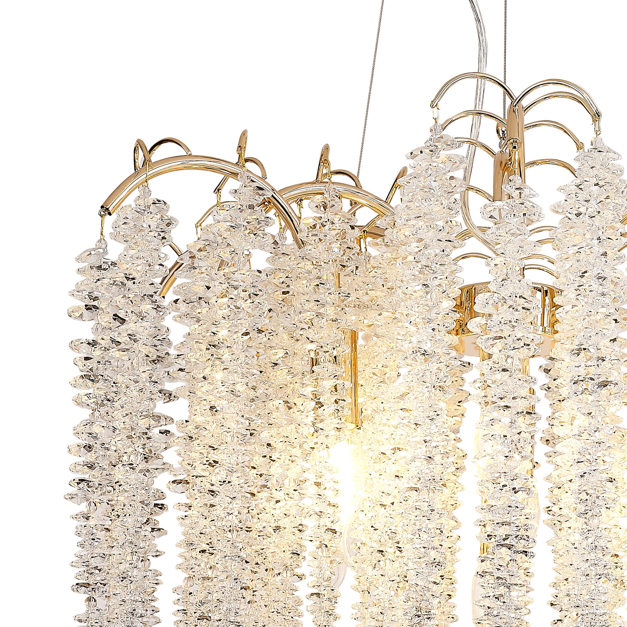 wisteria_IL32856