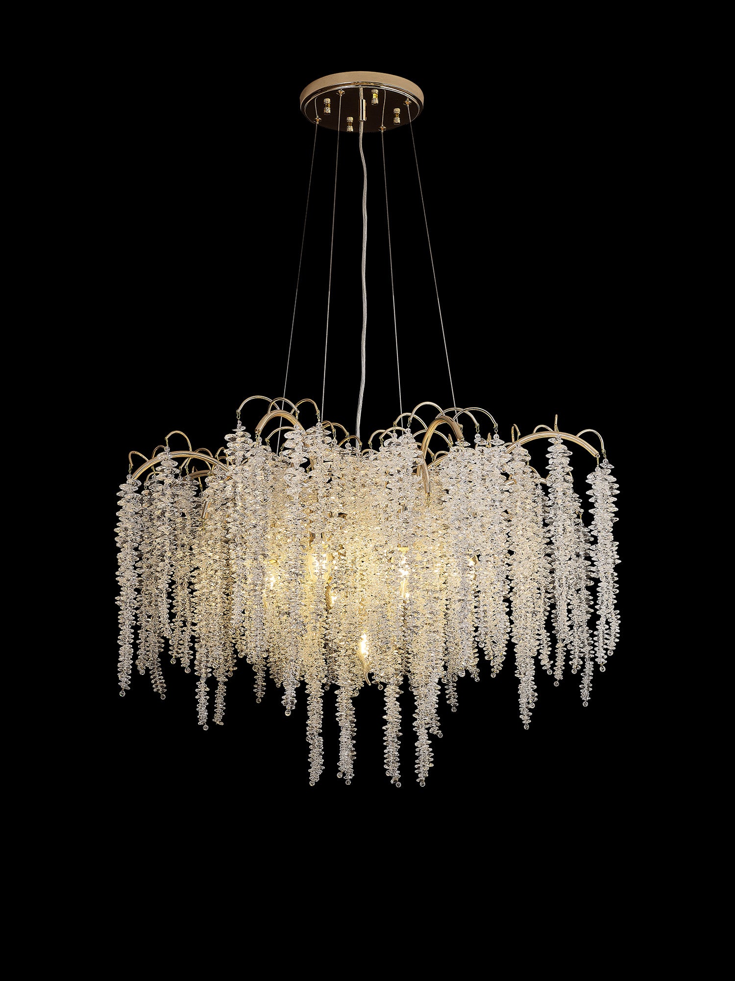 wisteria_IL32857