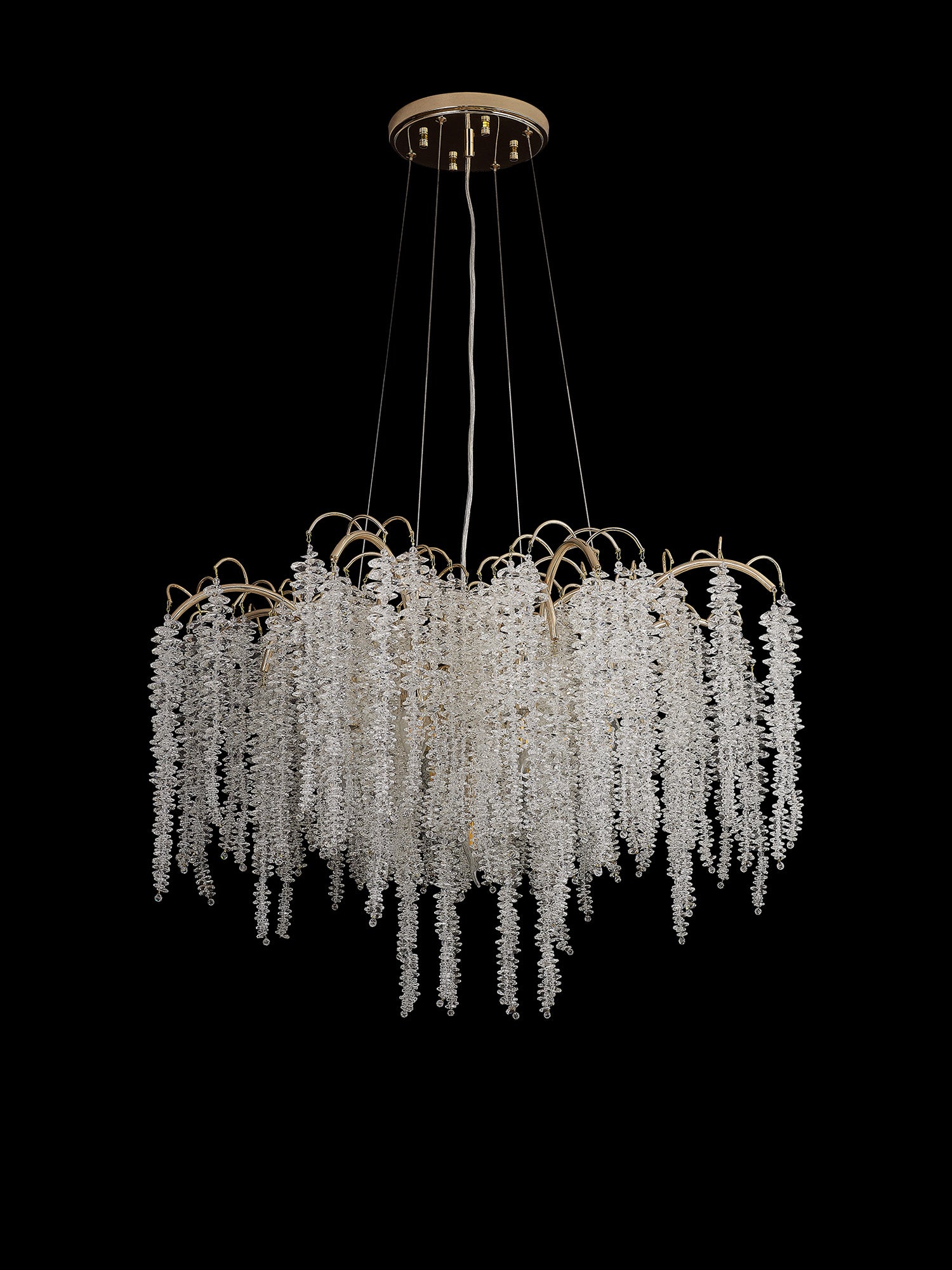 wisteria_IL32857