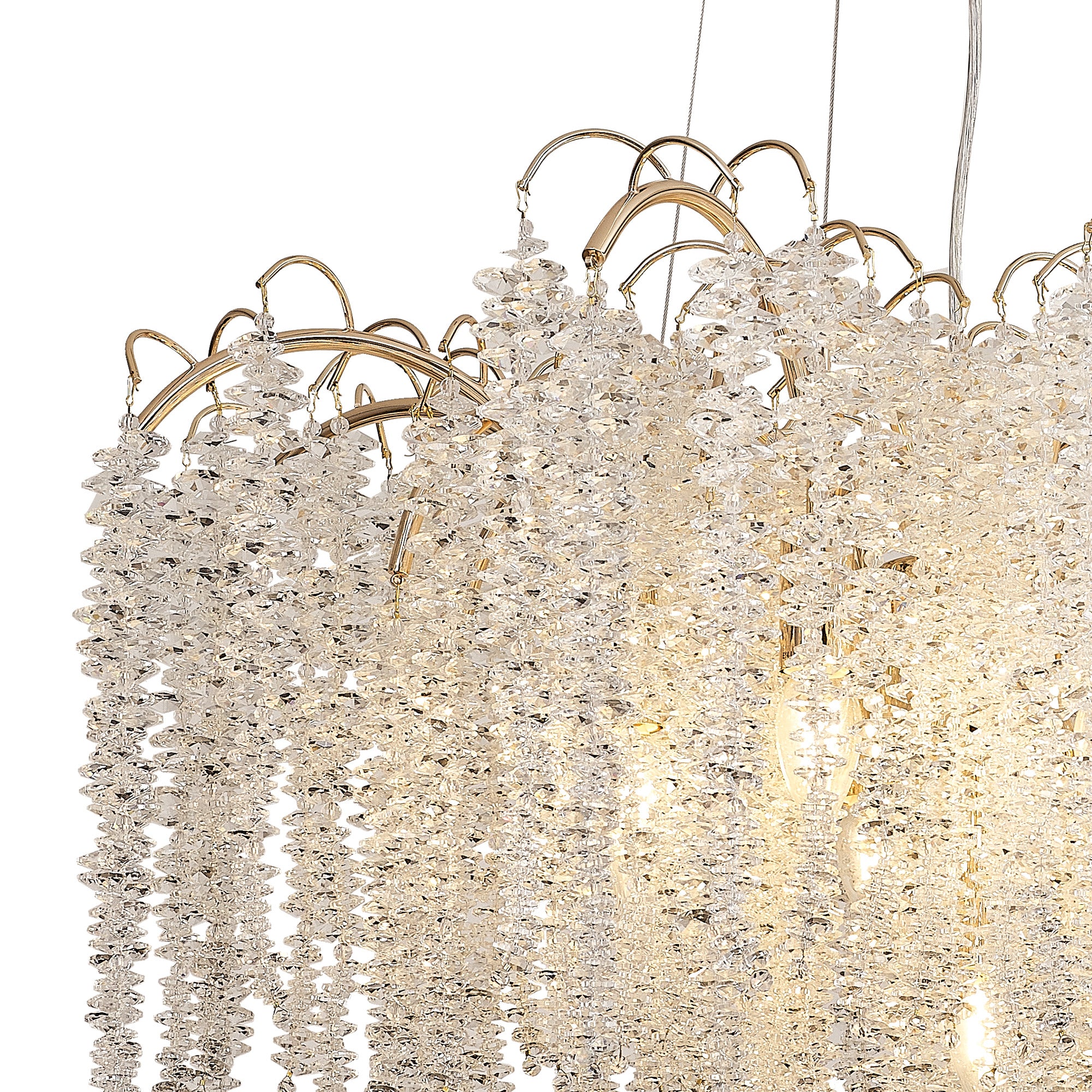 wisteria_IL32857