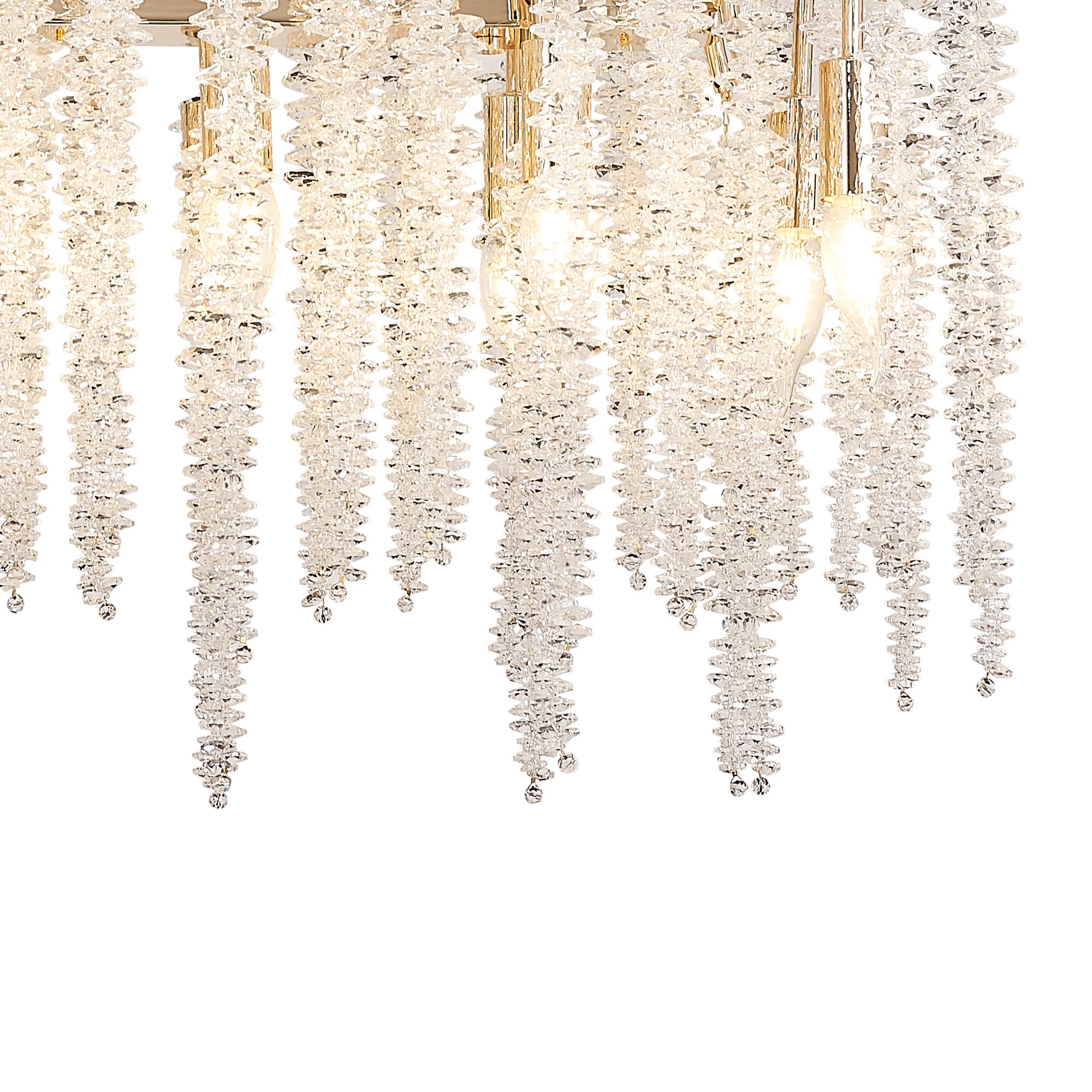 wisteria_IL32858