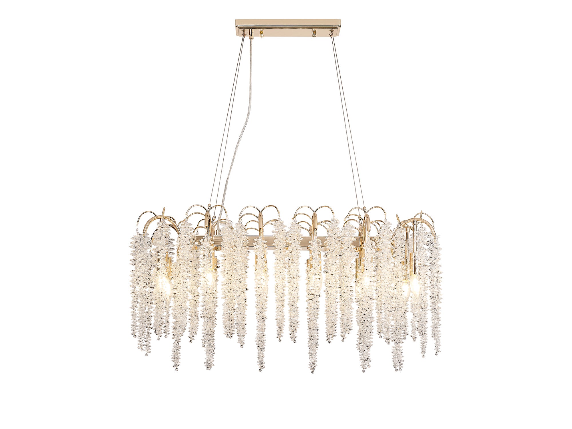 wisteria_IL32858
