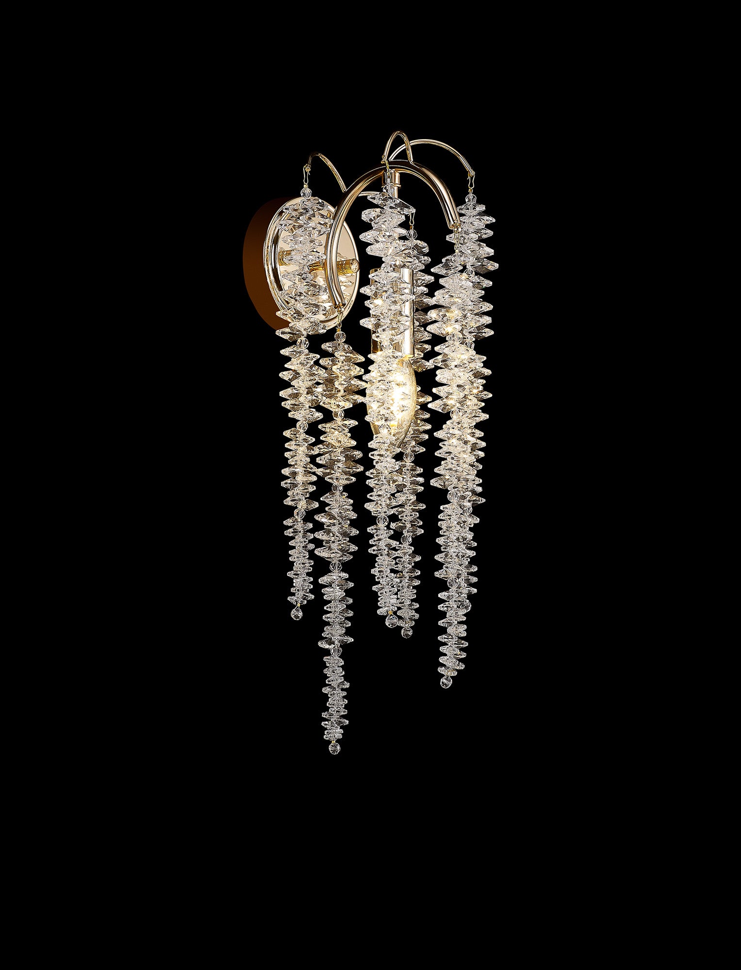 wisteria_IL32859