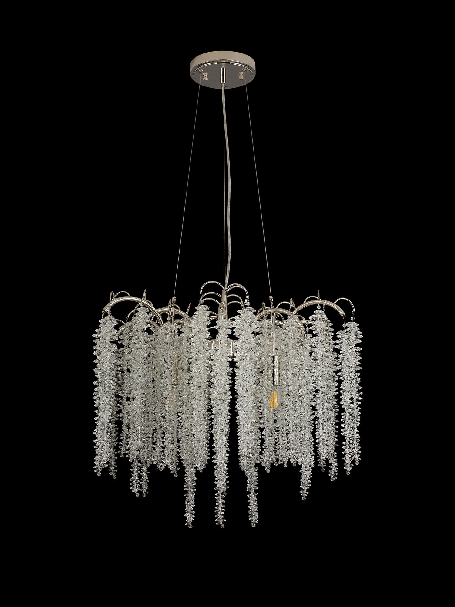 wisteria_IL32882