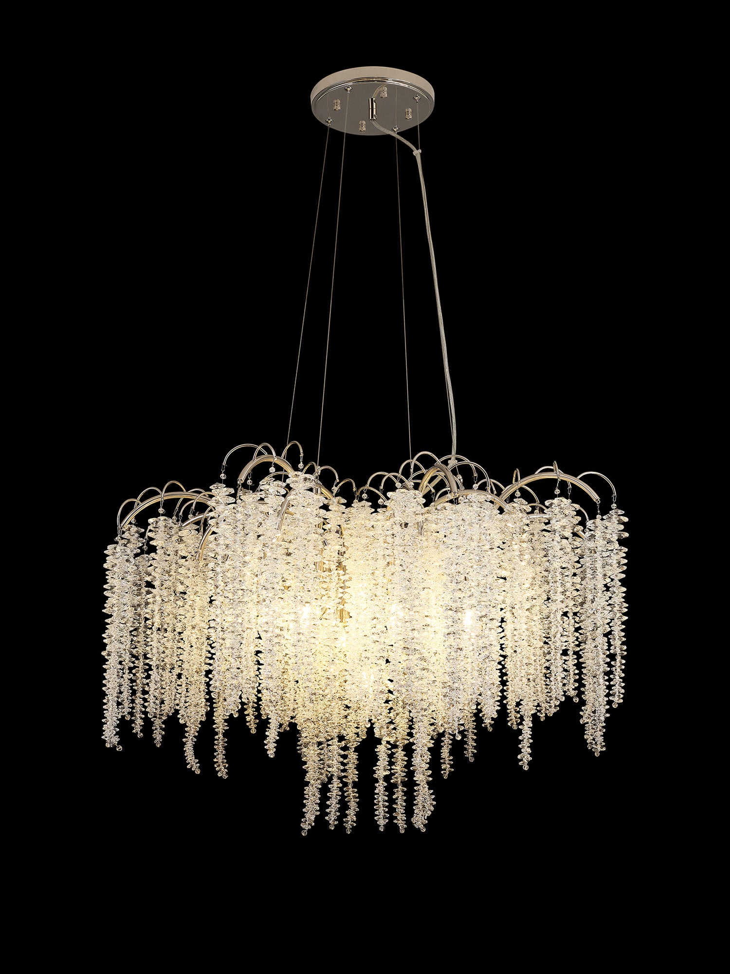 wisteria_IL32883