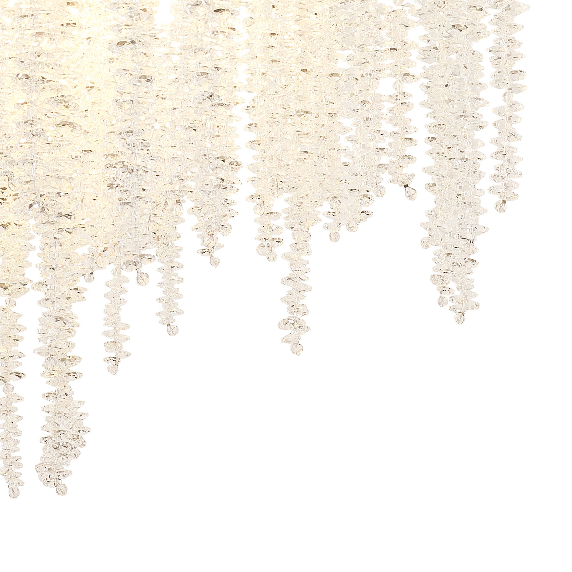 wisteria_IL32883