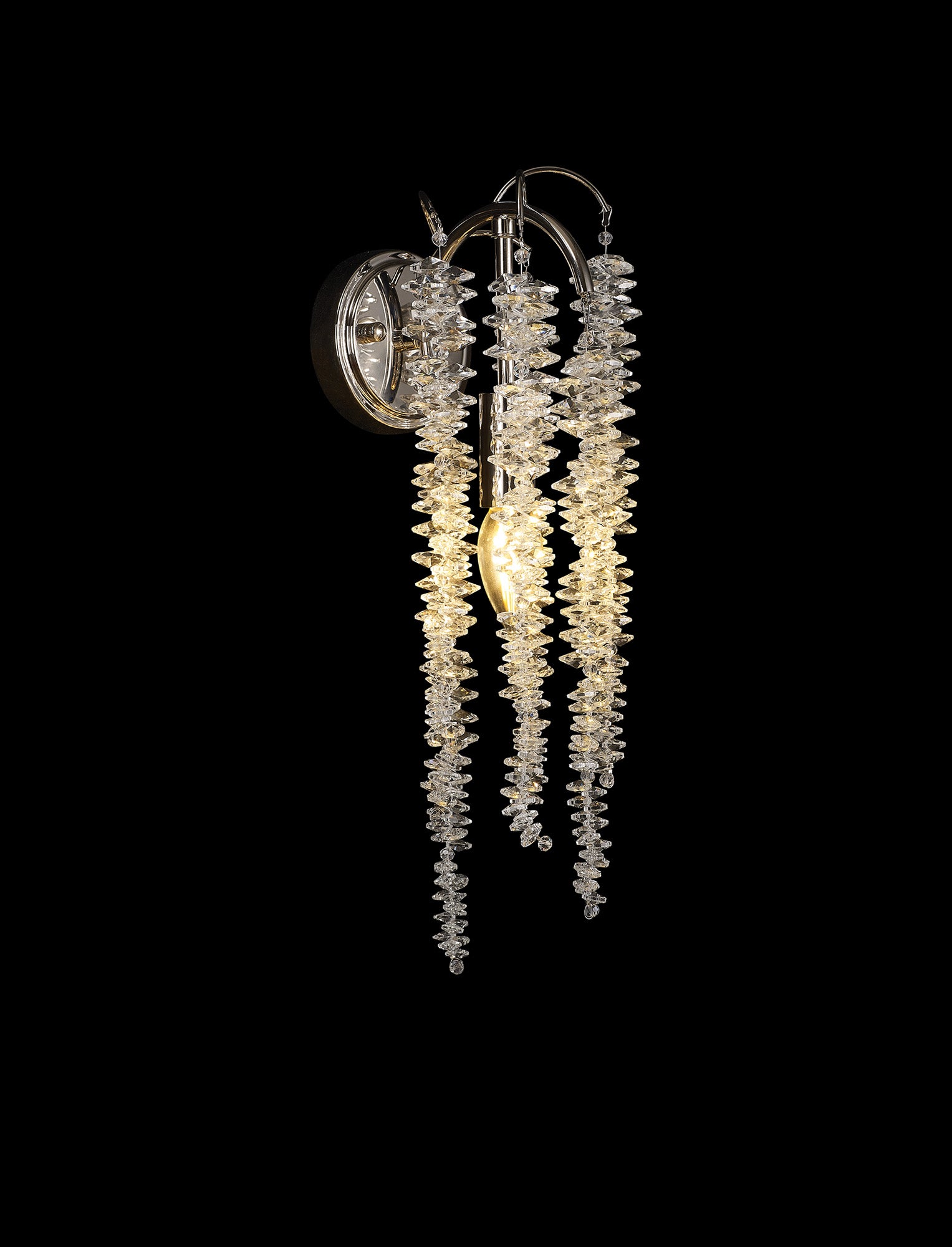 wisteria_IL32885