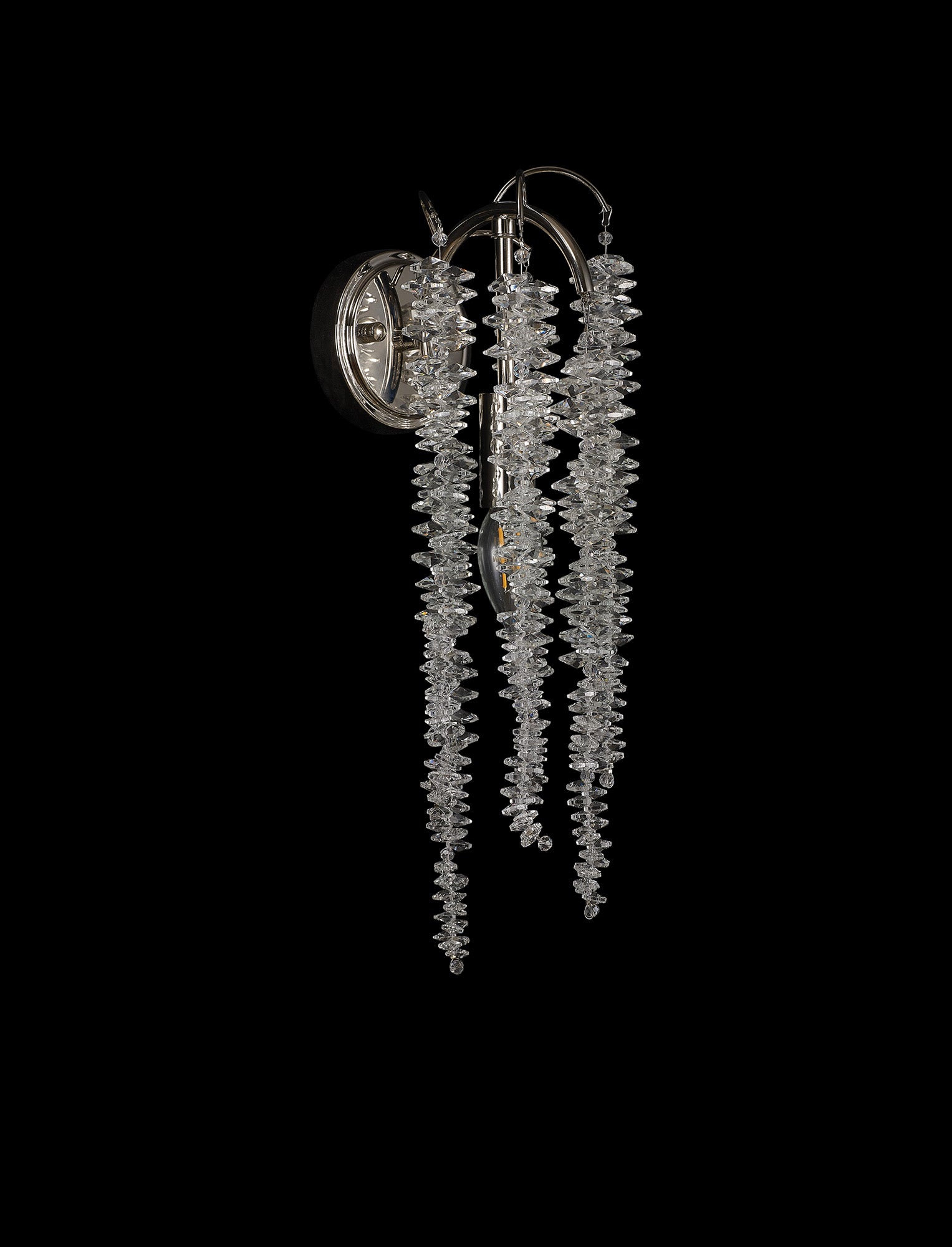 wisteria_IL32885