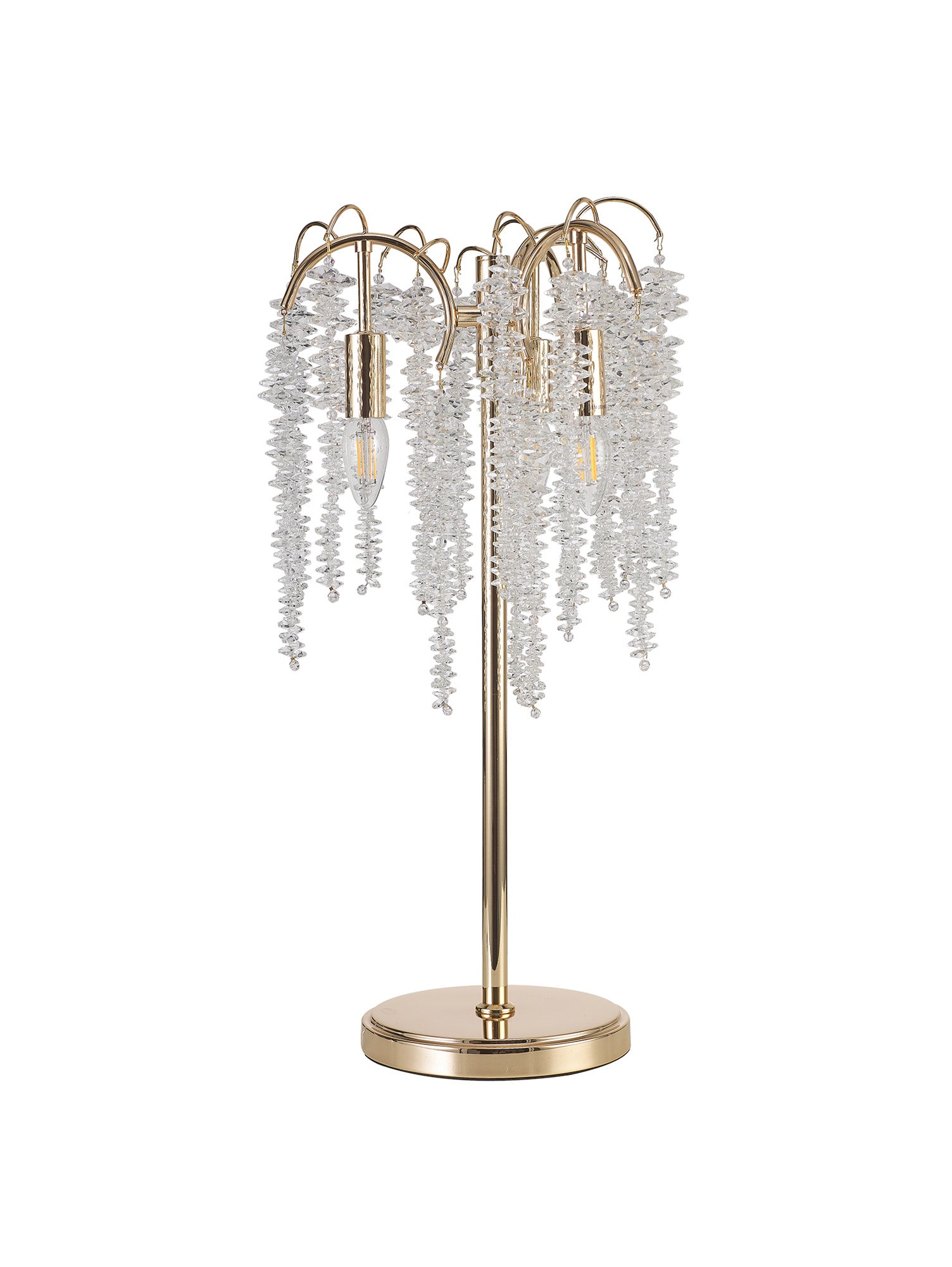 wisteria_IL32900