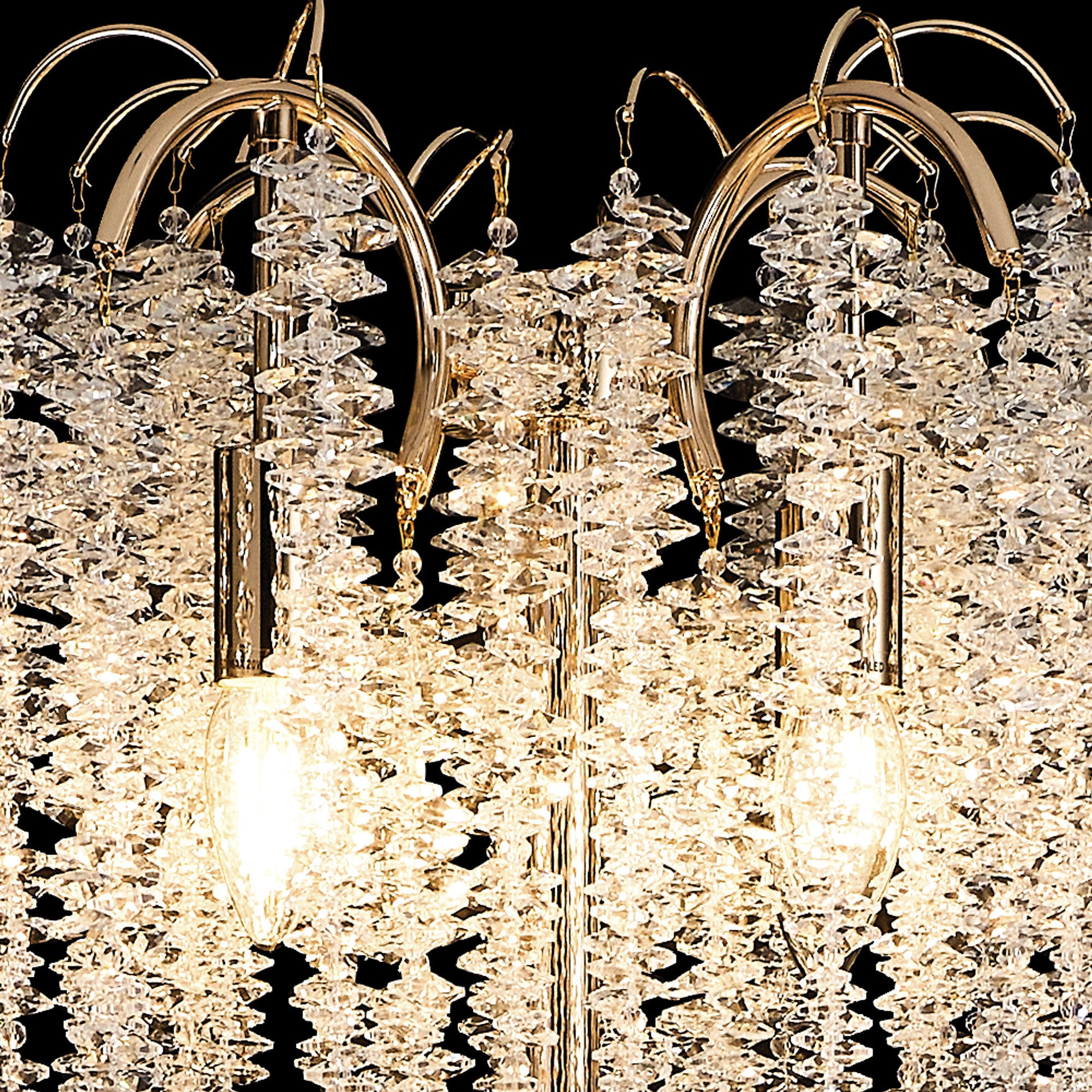 wisteria_IL32901
