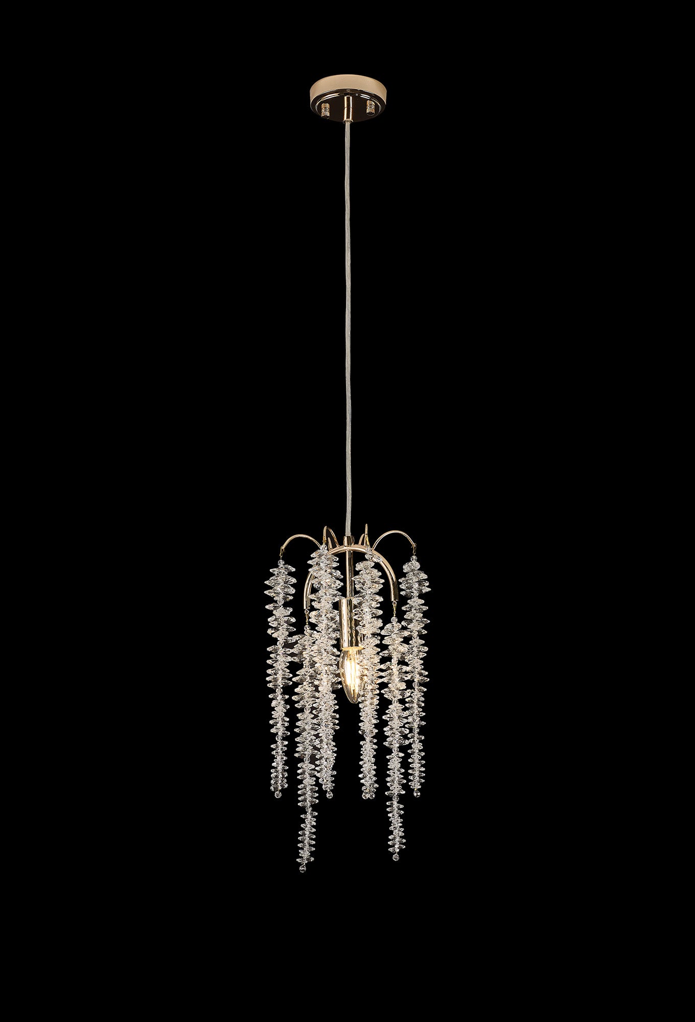 wisteria_IL32902