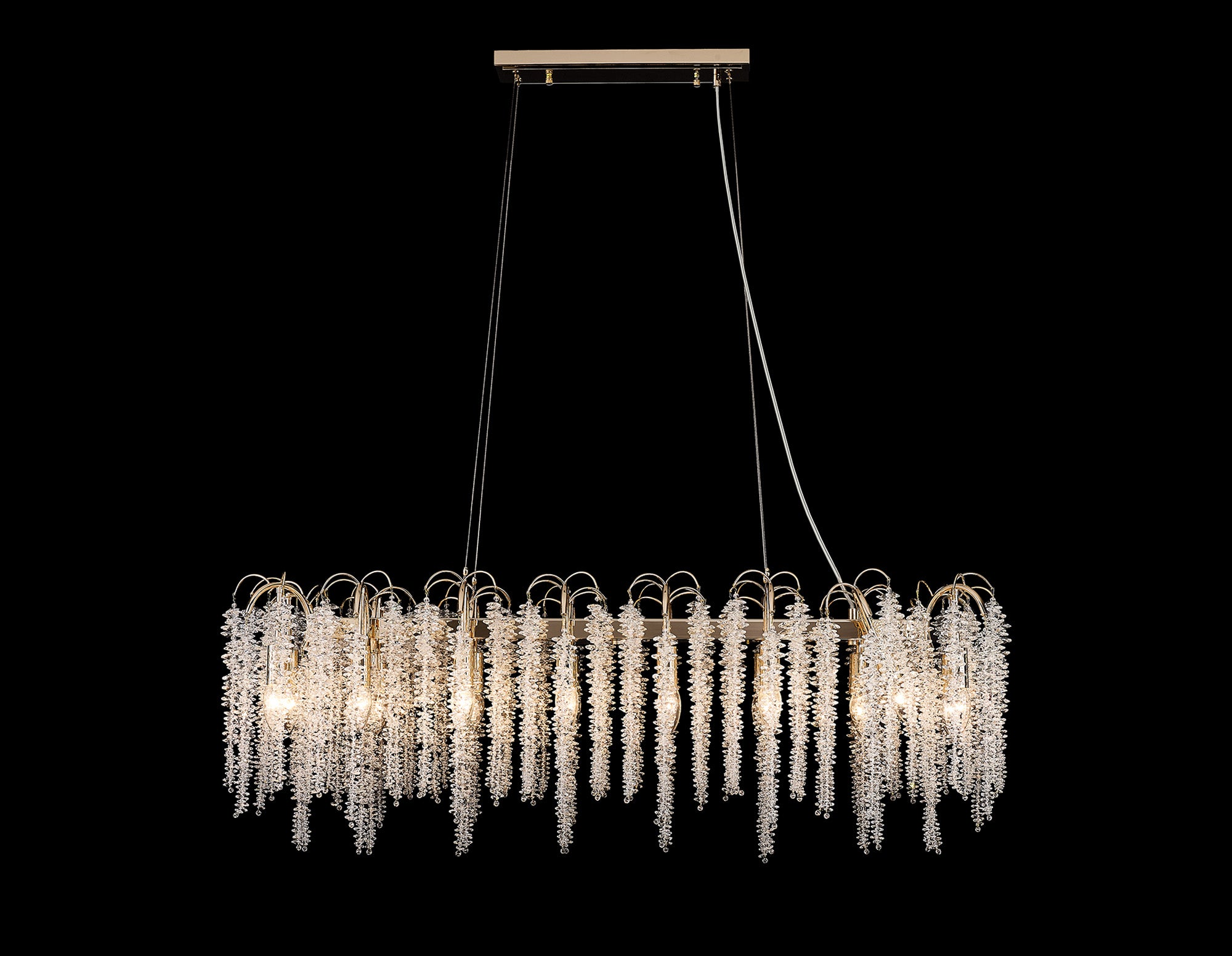 wisteria_IL32903