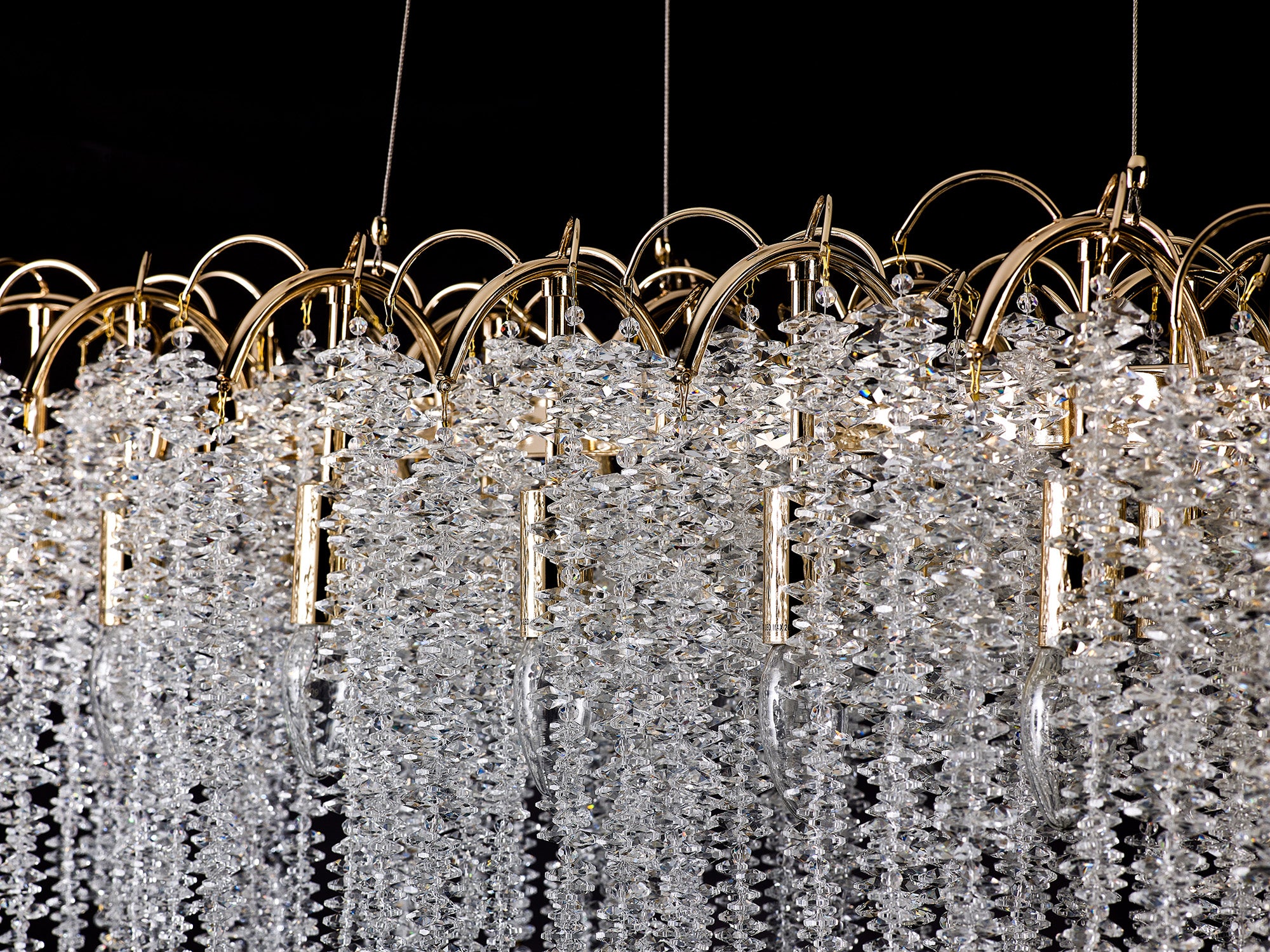 wisteria_IL32903