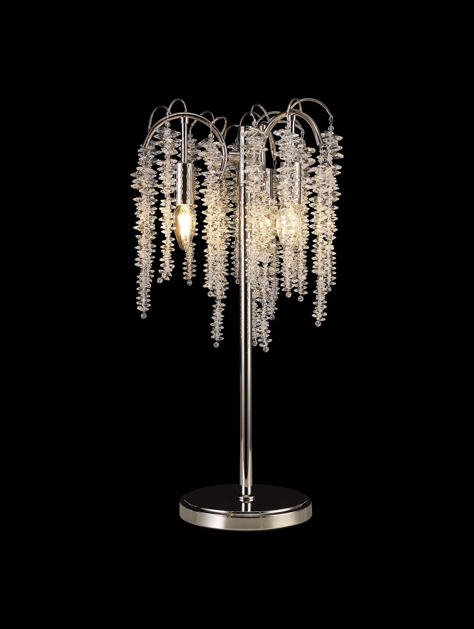 wisteria_IL32904