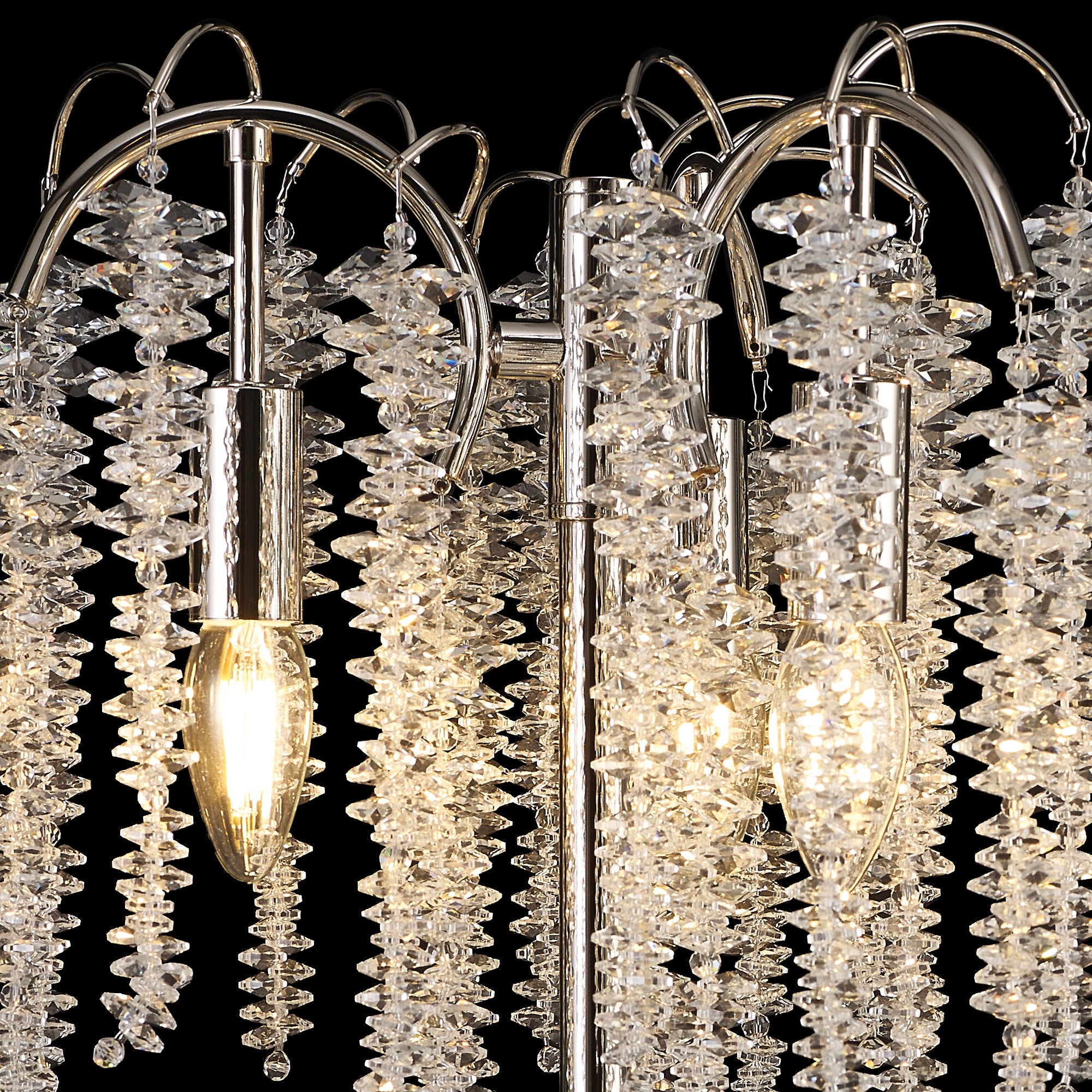 wisteria_IL32904